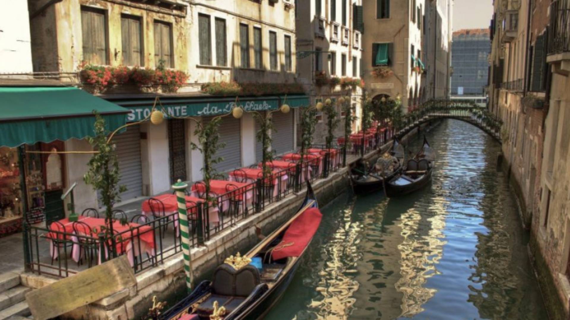 تواجه نحو مئة ألف شركة في القطاع السياحي خطر الإفلاس