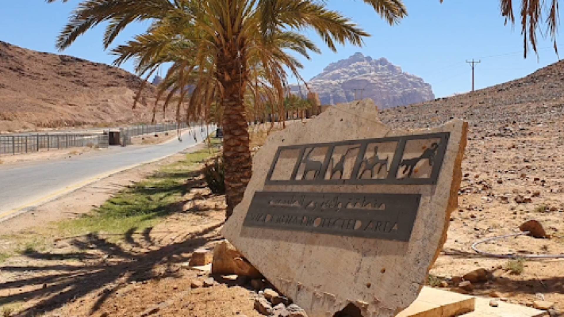 ارشيفية
