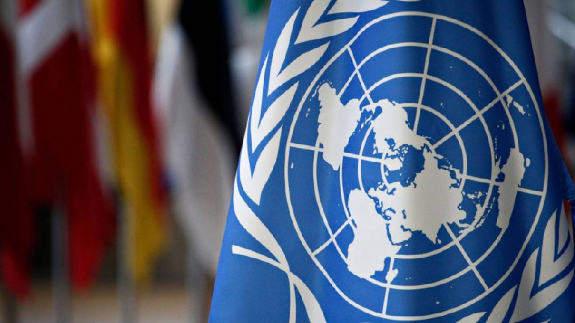 علم الأمم المتحدة