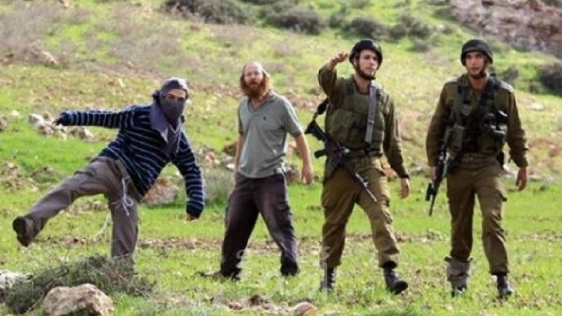 الصورة أرشيفية