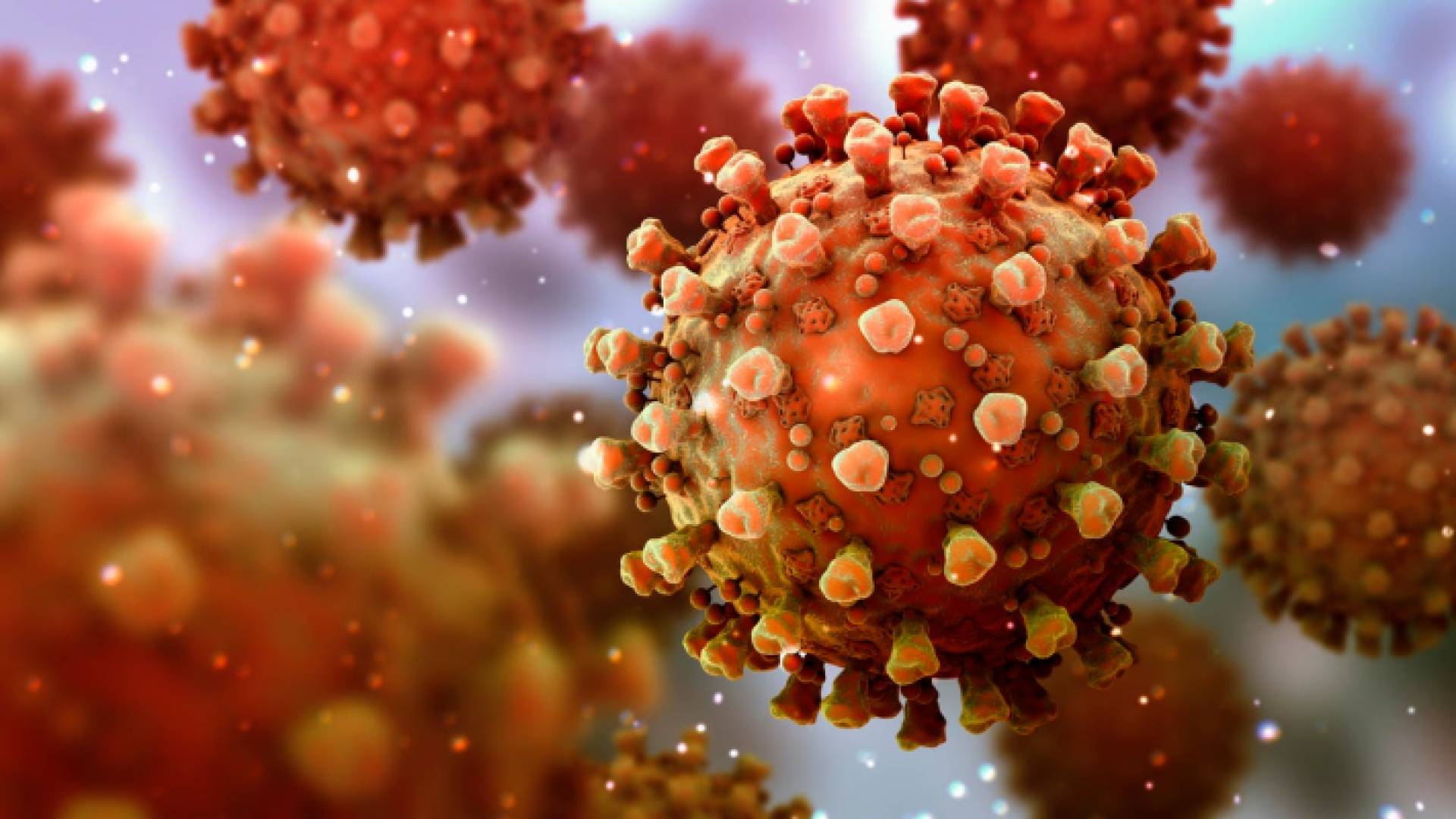 صورة مجهرية لفيروسات