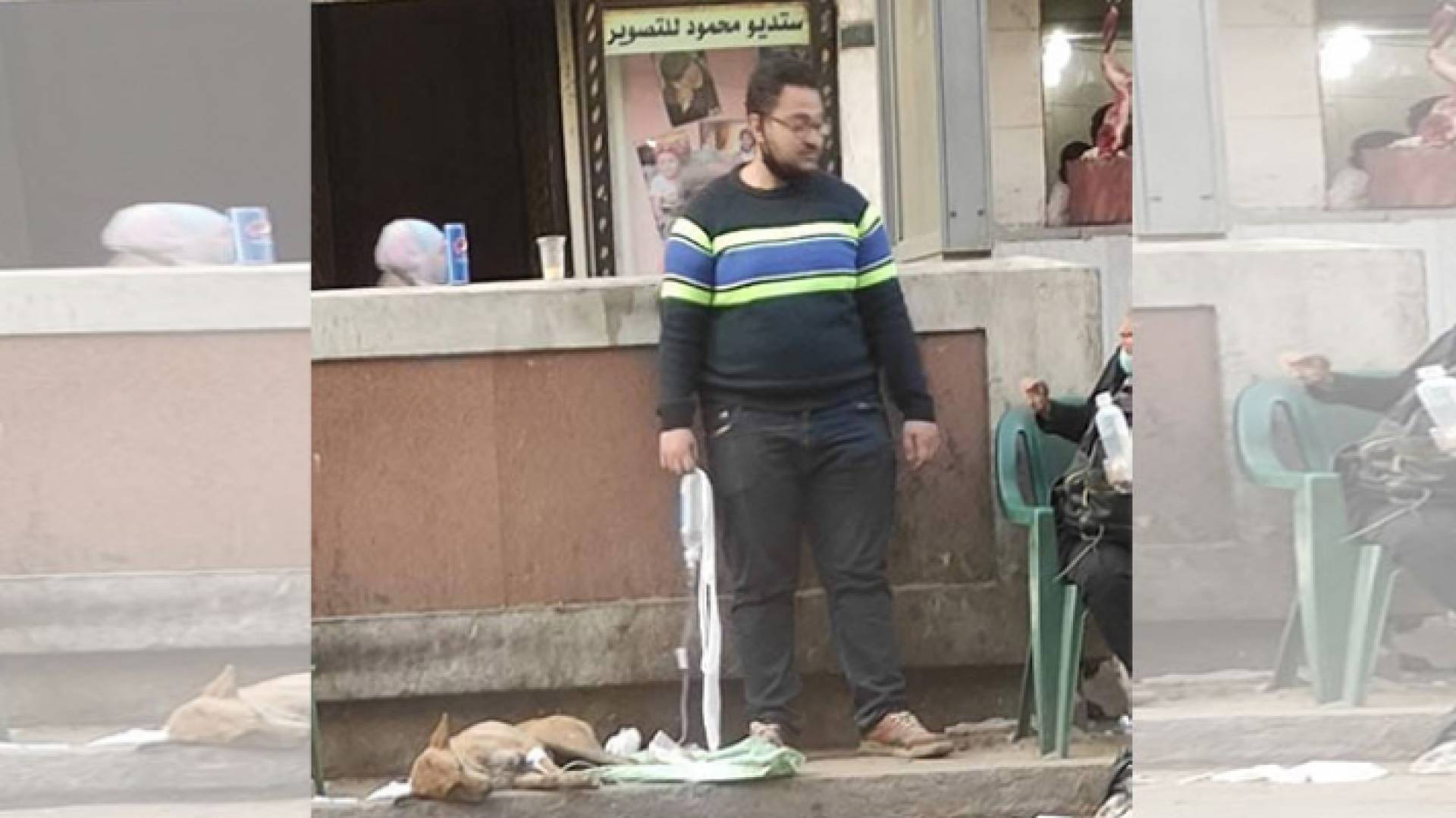 الصورة المتداولة