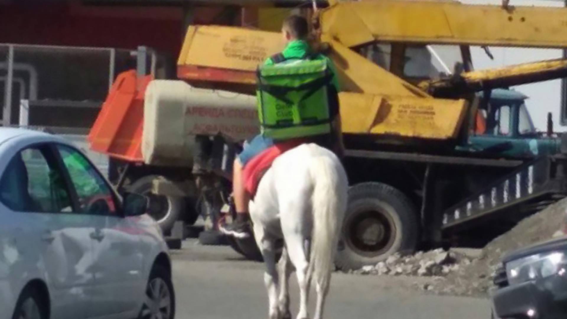 عامل توصيل على حصان