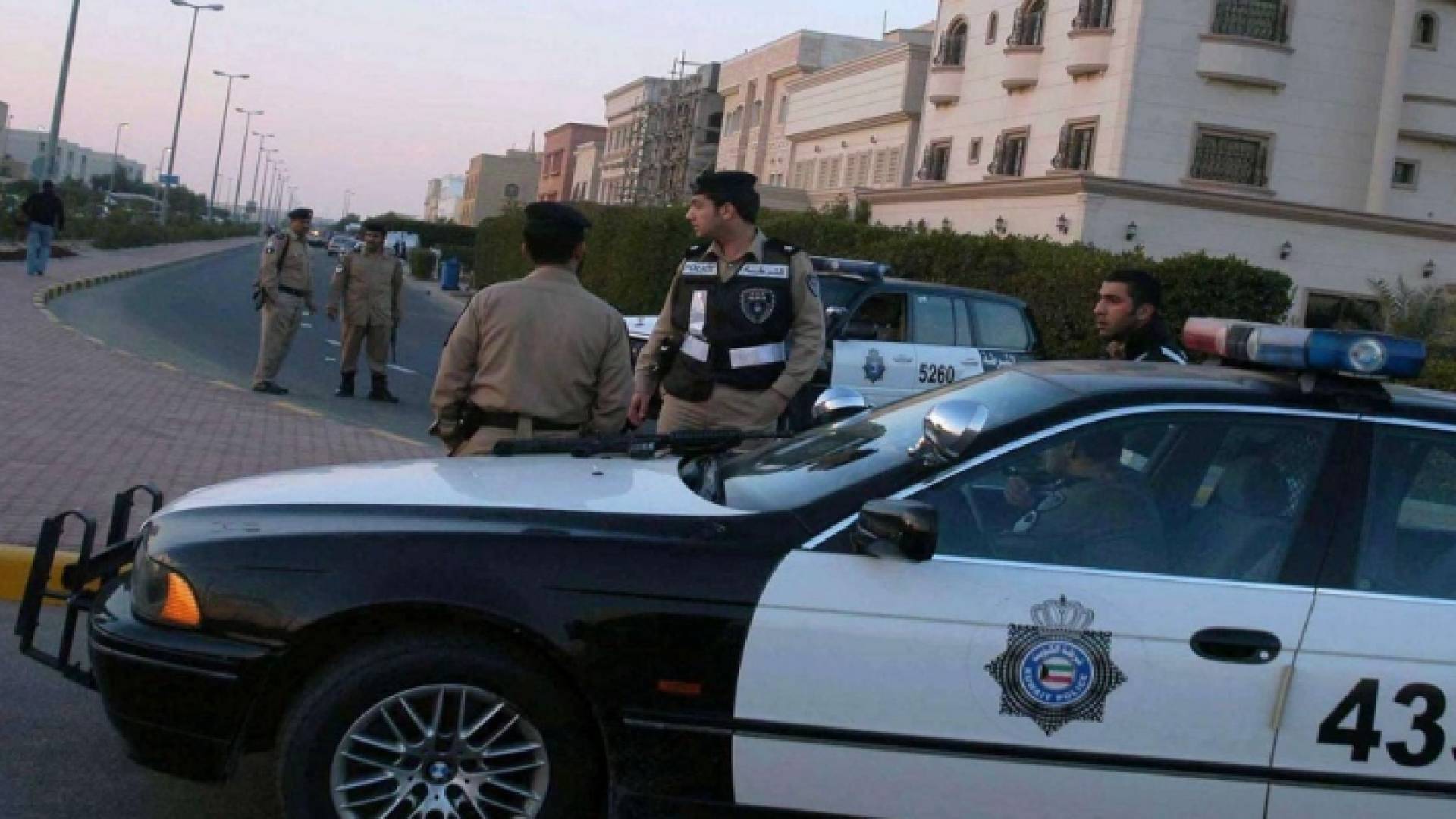 ارشيفية