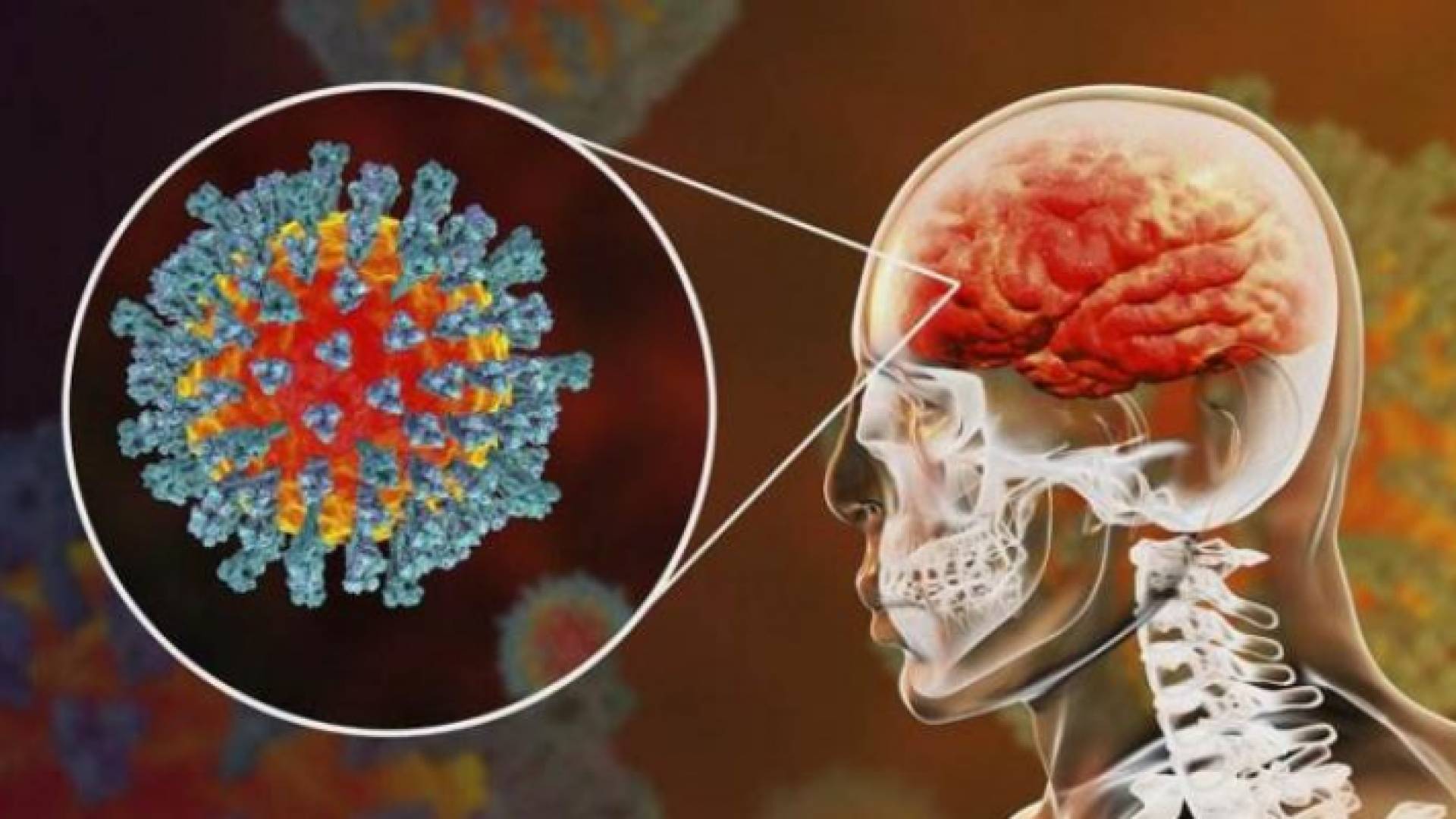 الصورة تعبيرية