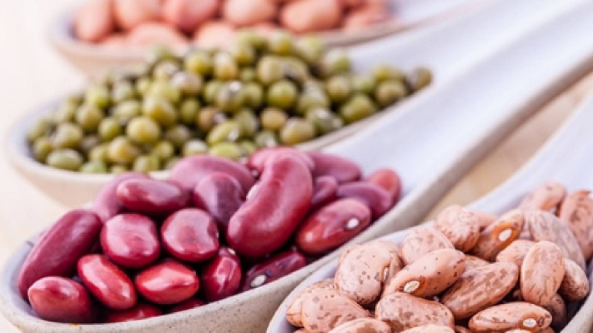 البقوليات - تعبيرية