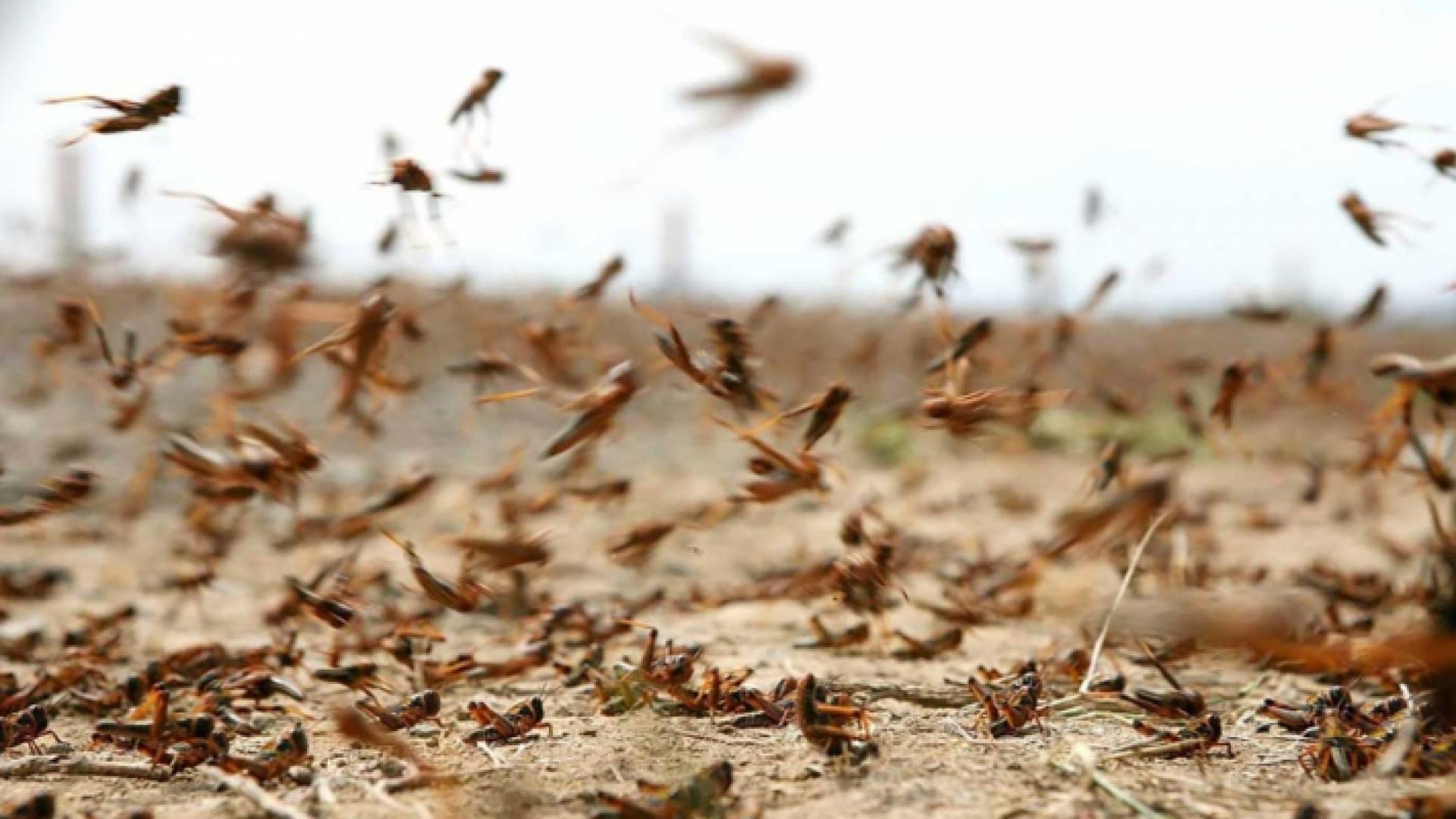 الصورة ارشيفية