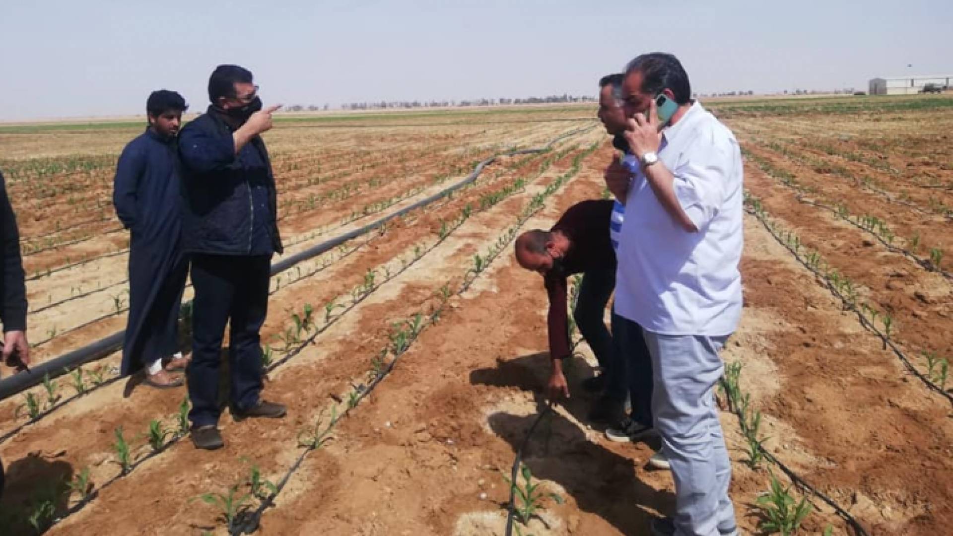 وزير الزراعة: امداد جهود مكافحة الجراد بفرق من معان والطفيلة والعقبة