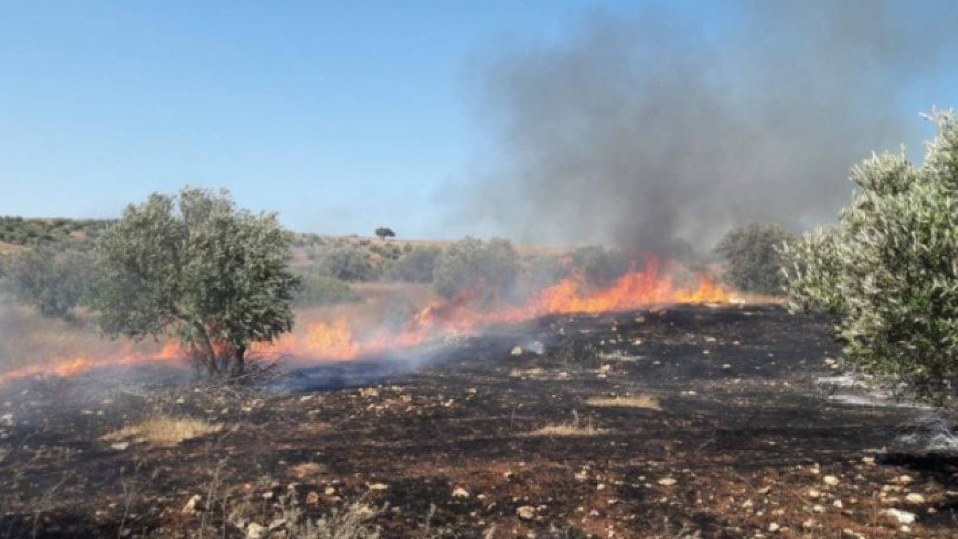 الصورة أرشيفية