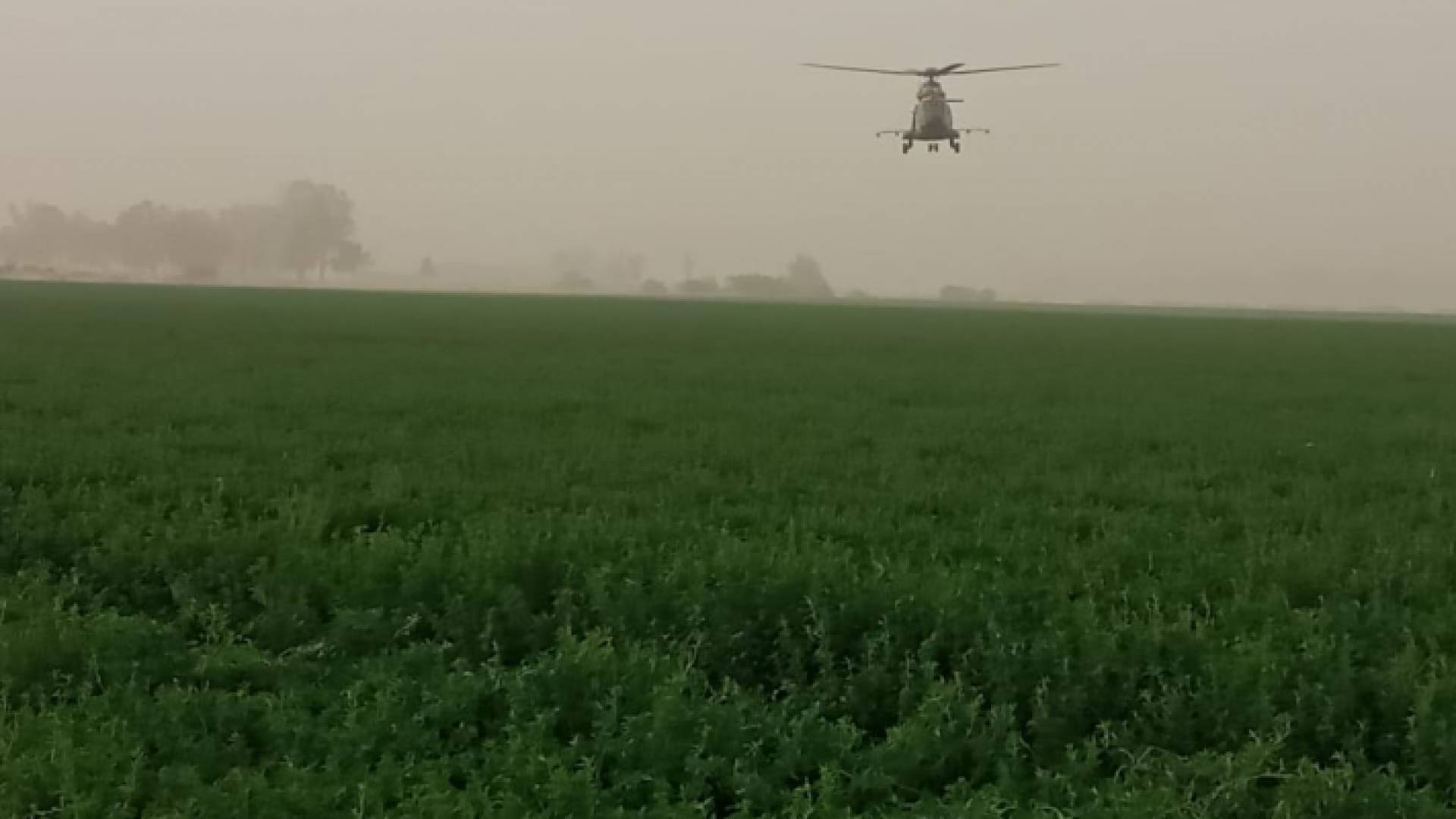 طائرة لسلاح الجو تشارك بعمليات مكافحة الجراد في منطقة المدورة