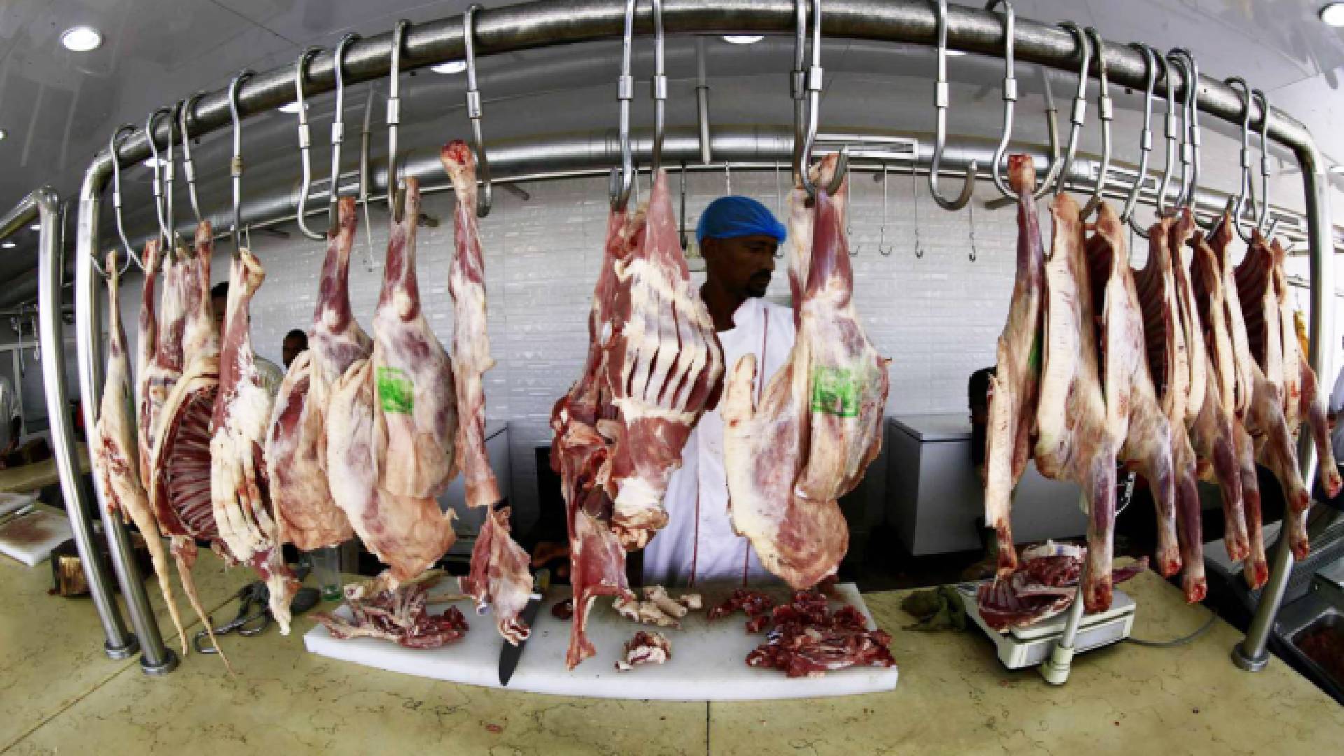 الصورة أرشيفية