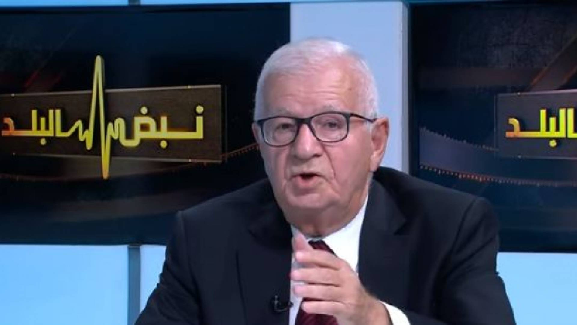 عبد الحي زلوم خلال استضافته عبر برنامج نبض البلد - أرشيفية