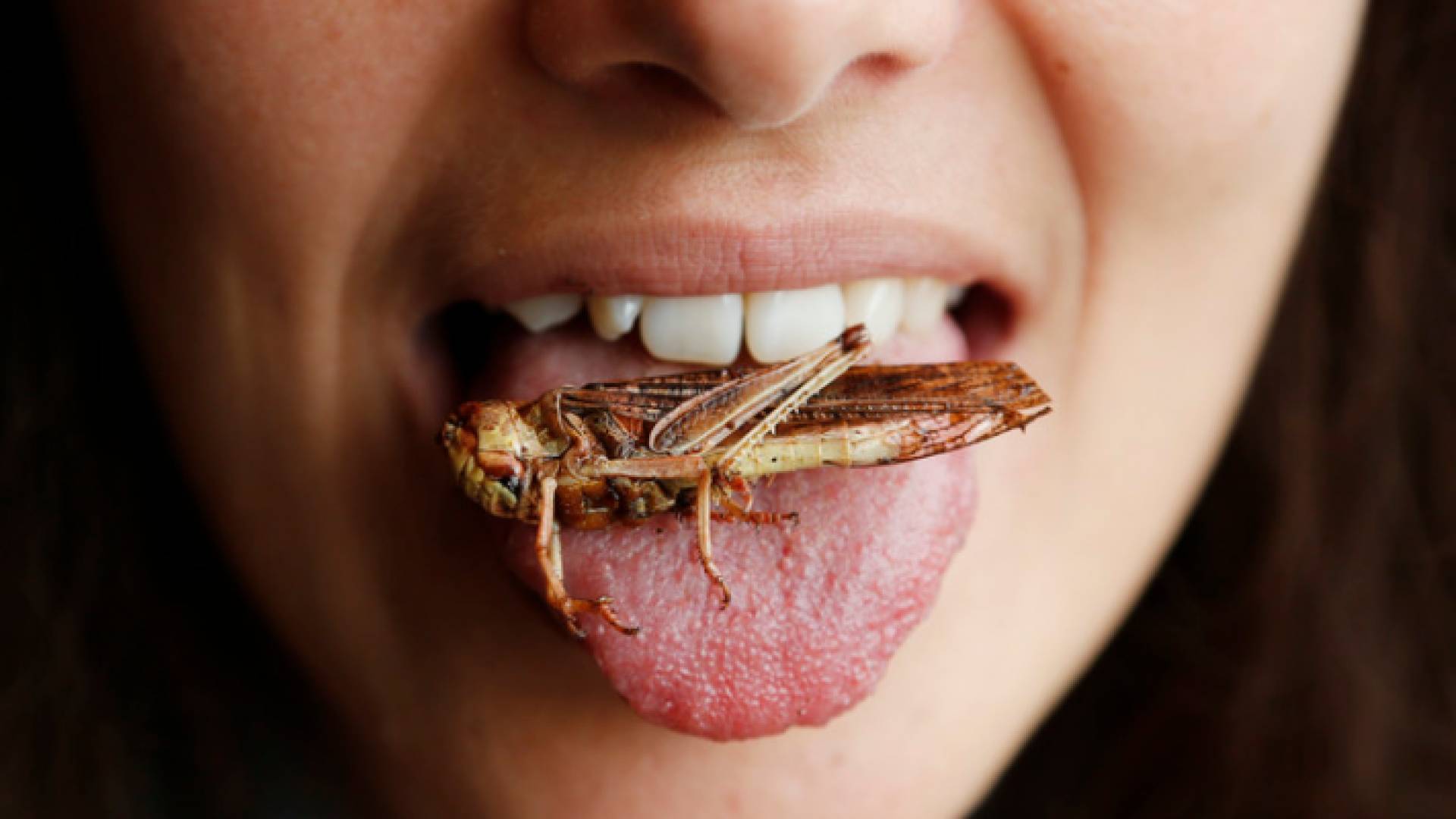 يعالج أكل الجراد مرض الروماتيزم وألم الظهر