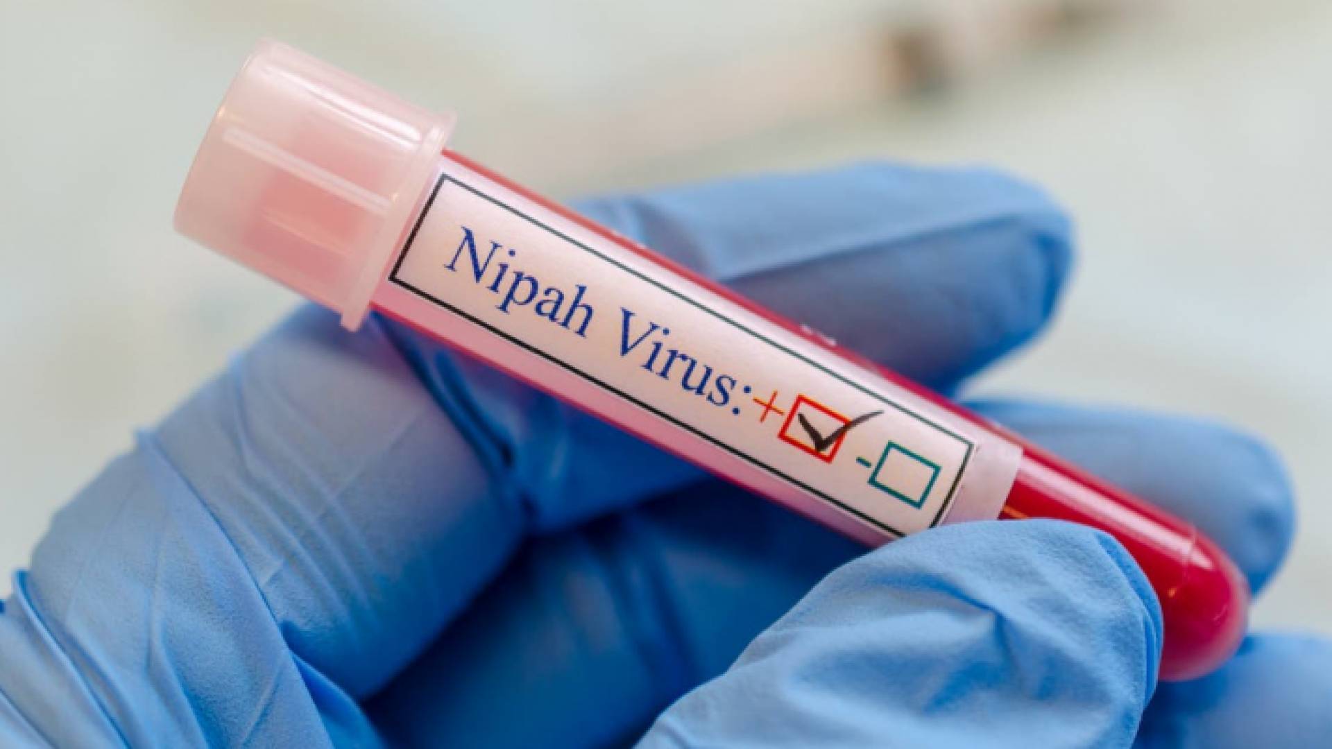 الصورة أرشيفية