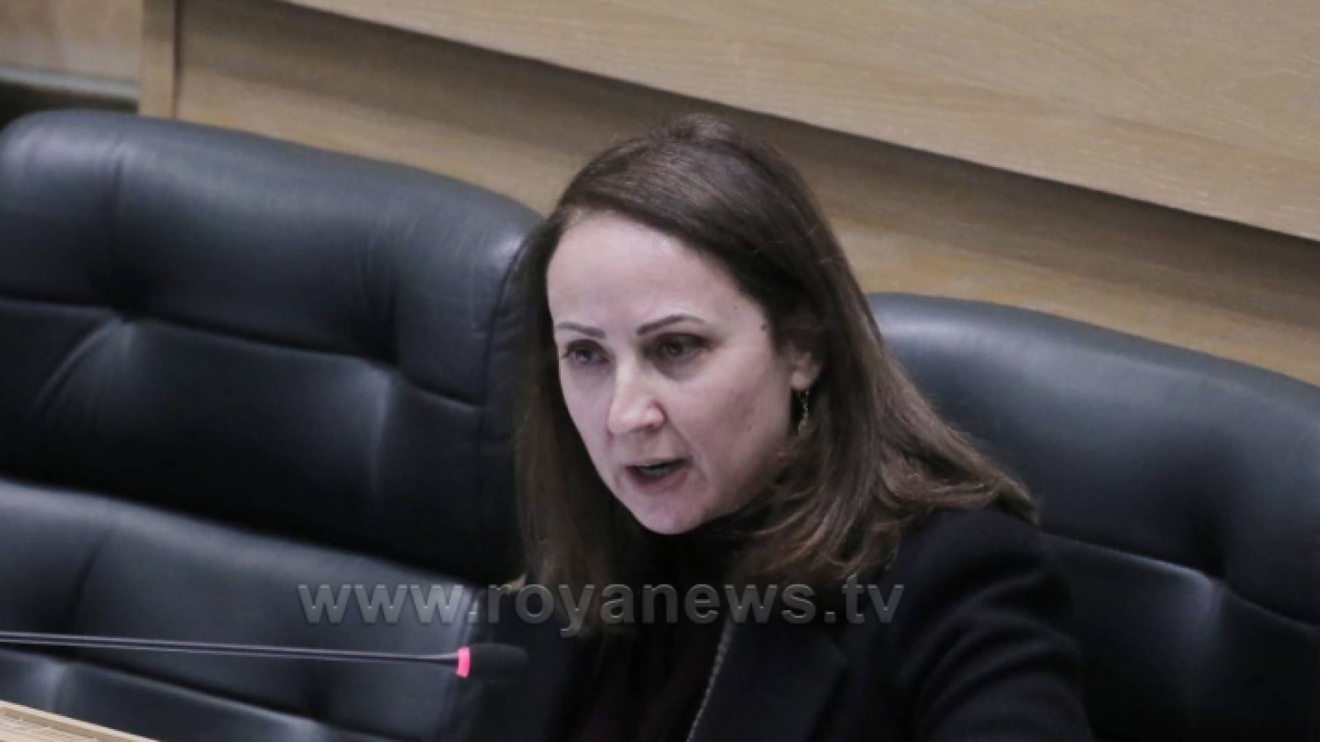 وزيرة الصناعة والتجارة المهندسة مها علي