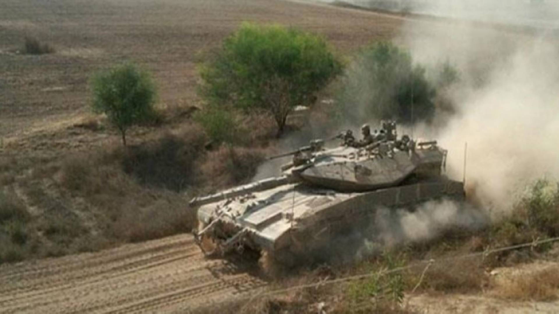 ارشيفية