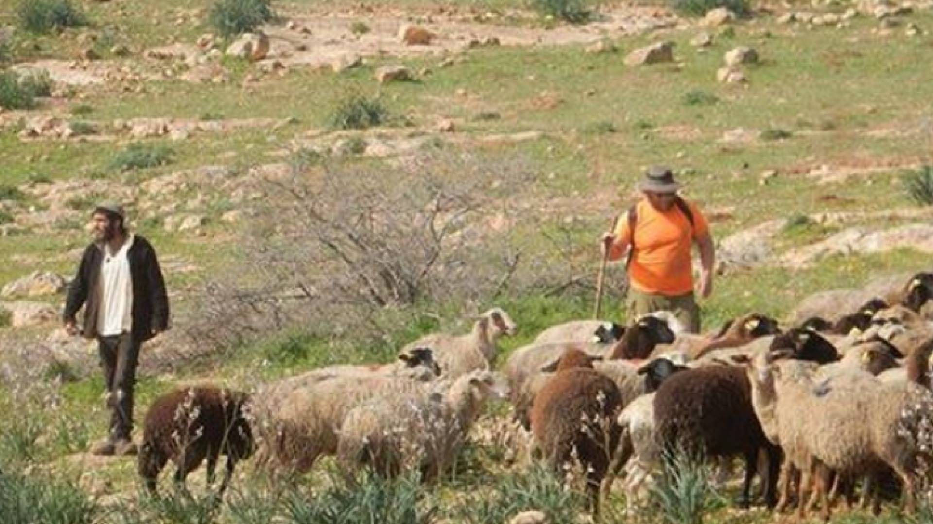 الصورة أرشيفية