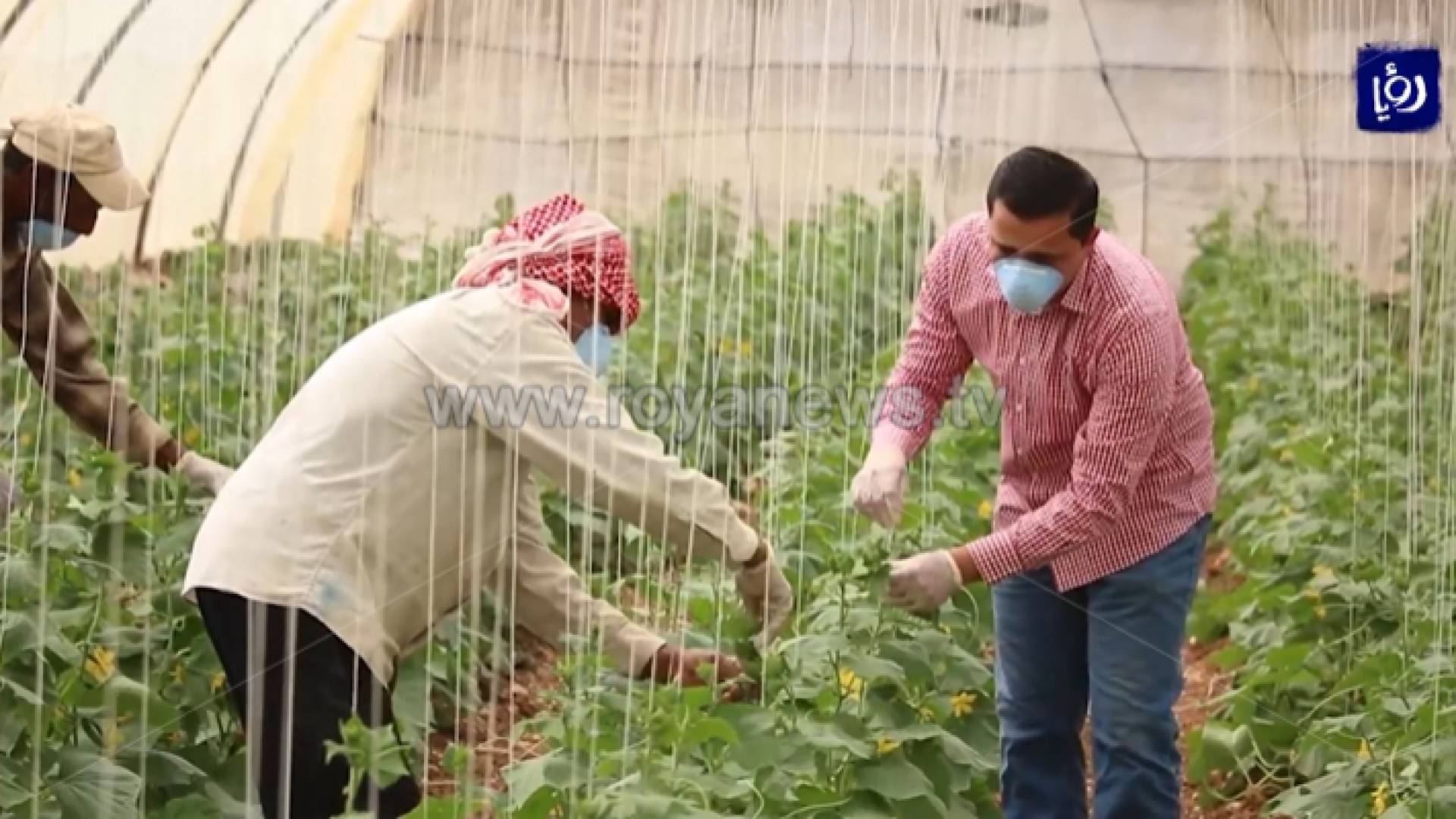 الصورة ارشيفية