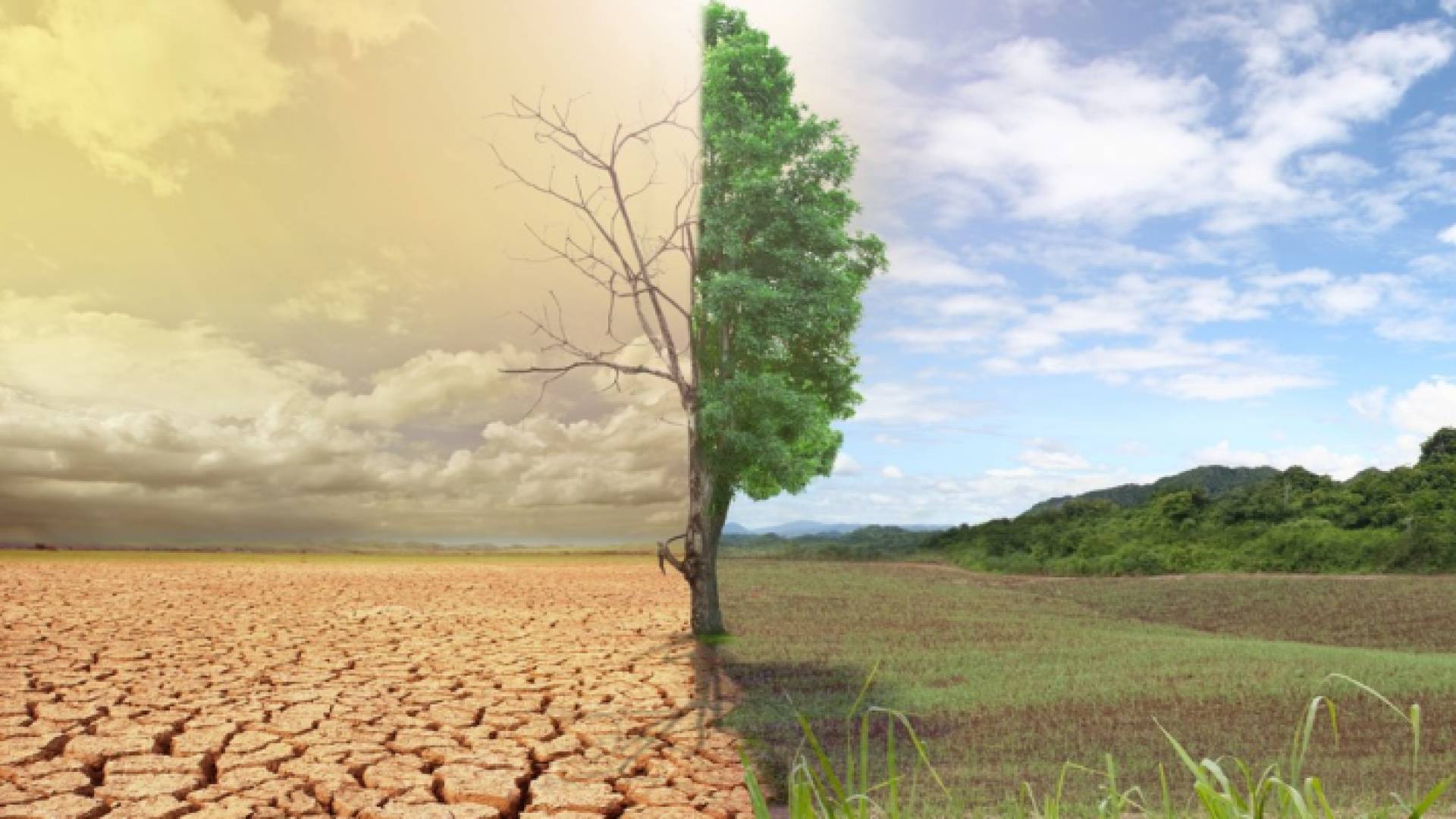 التغير المناخي