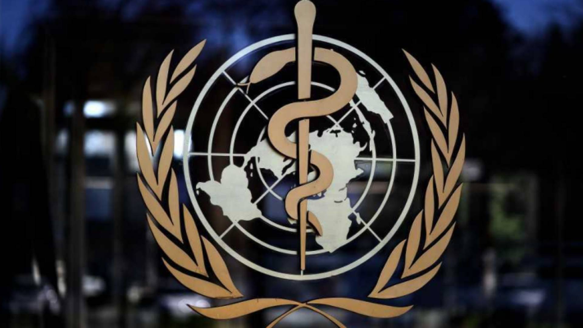 منظمة الصحة العالمية