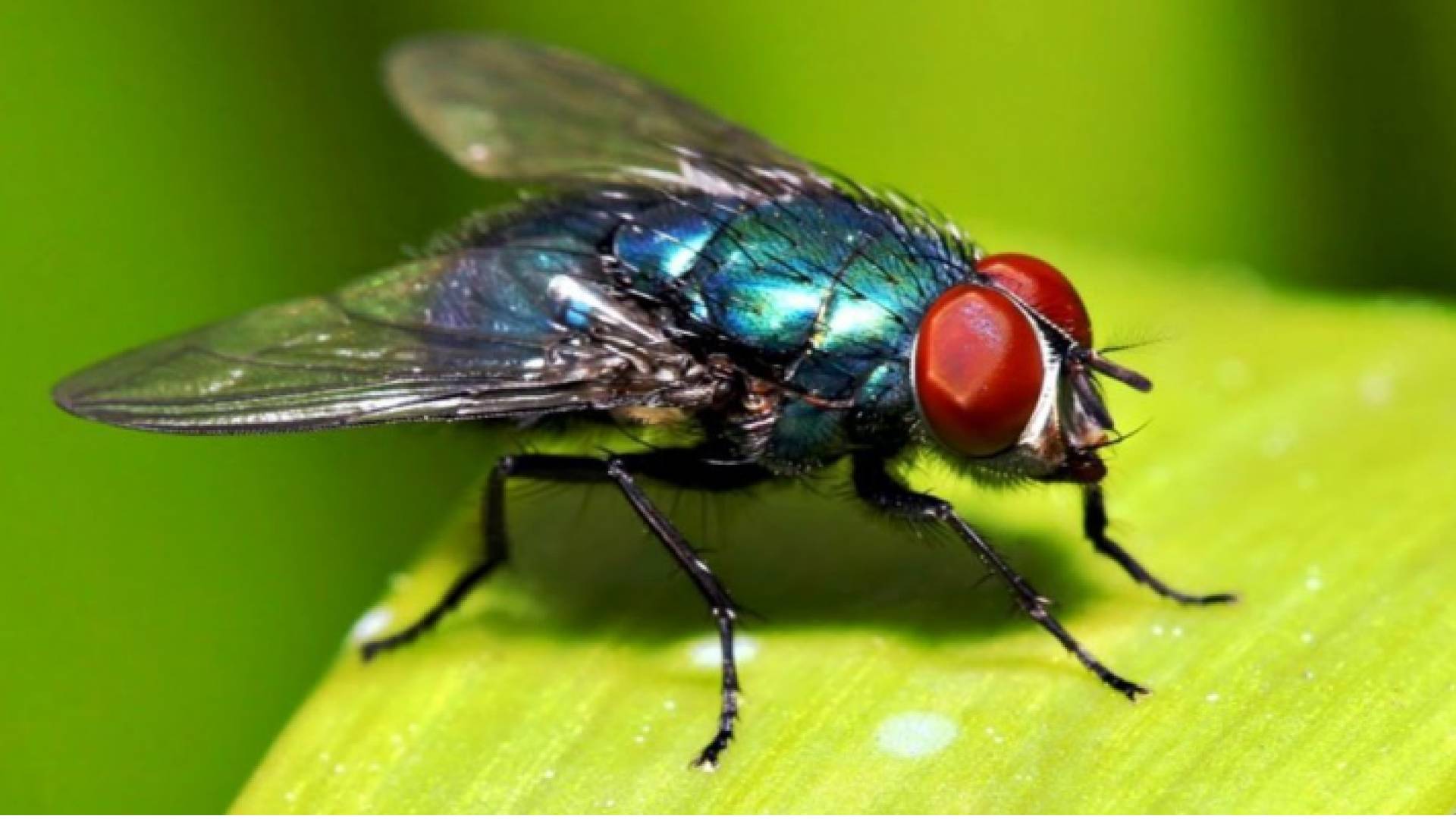 الصورة أرشيفية