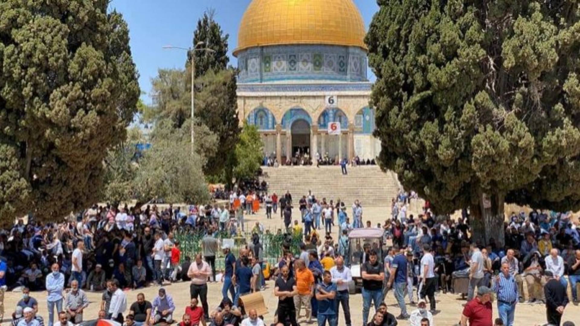 المهندسين: الاعتداءات على الشعب الفلسطيني إرهاب منظم