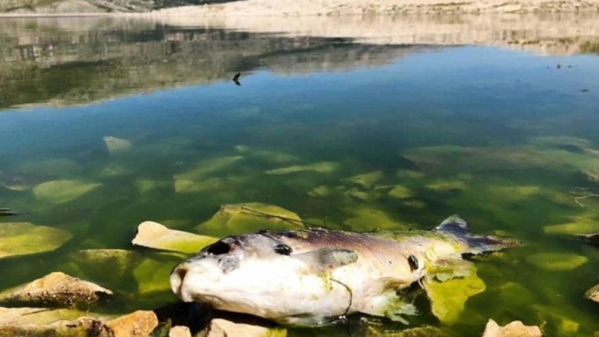 تستمر مياه الصرف الصحي بالتدفق إلى مجرى النهر