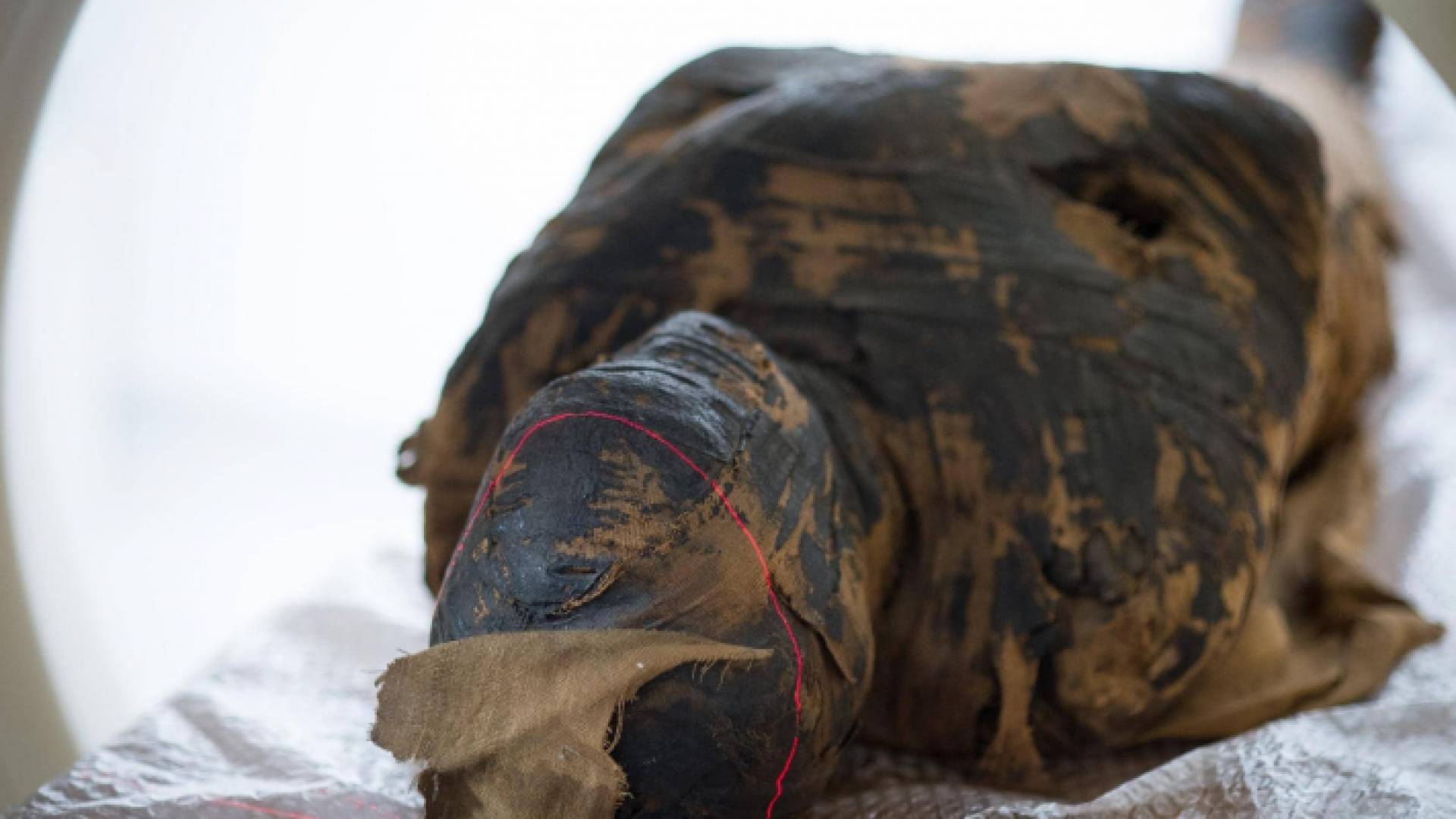 مومياء مصرية محنطة