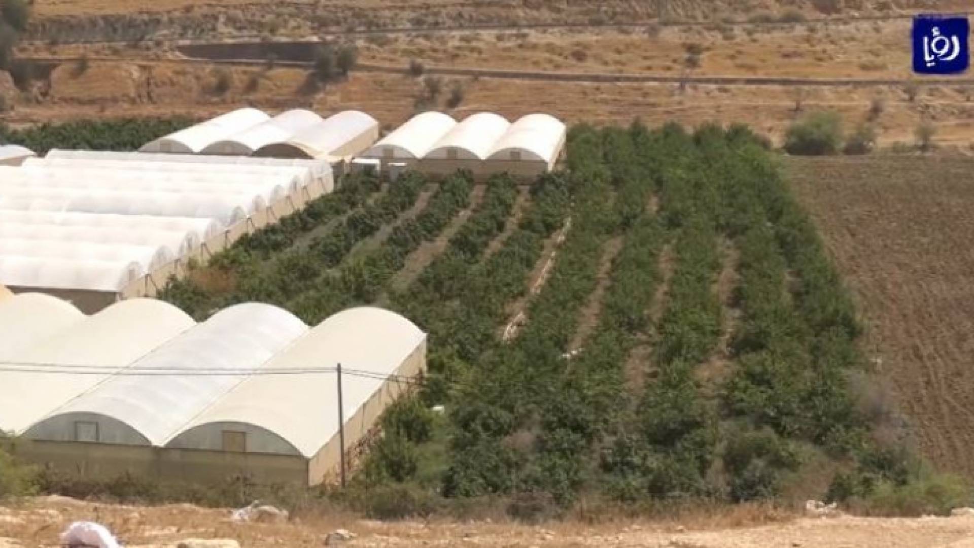 الصورة ارشيفية