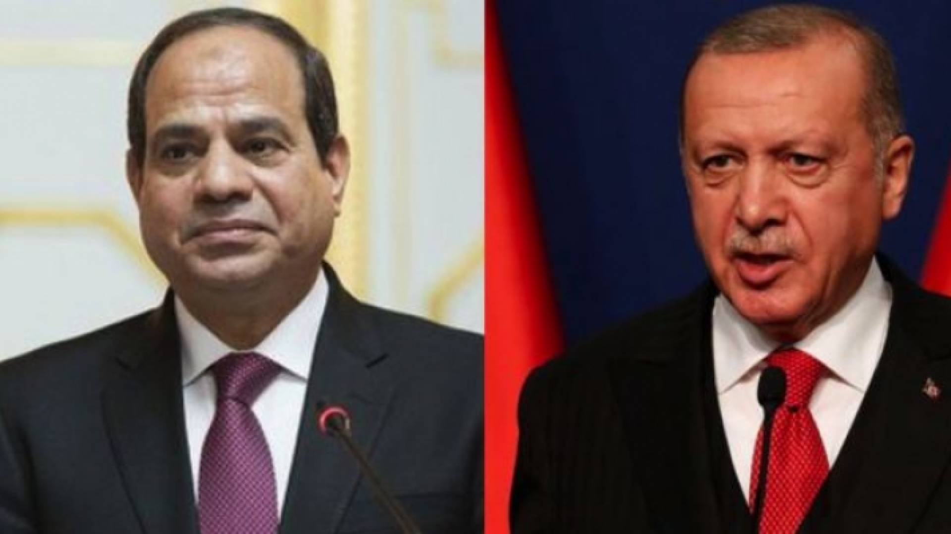 أردوغان والسيسي