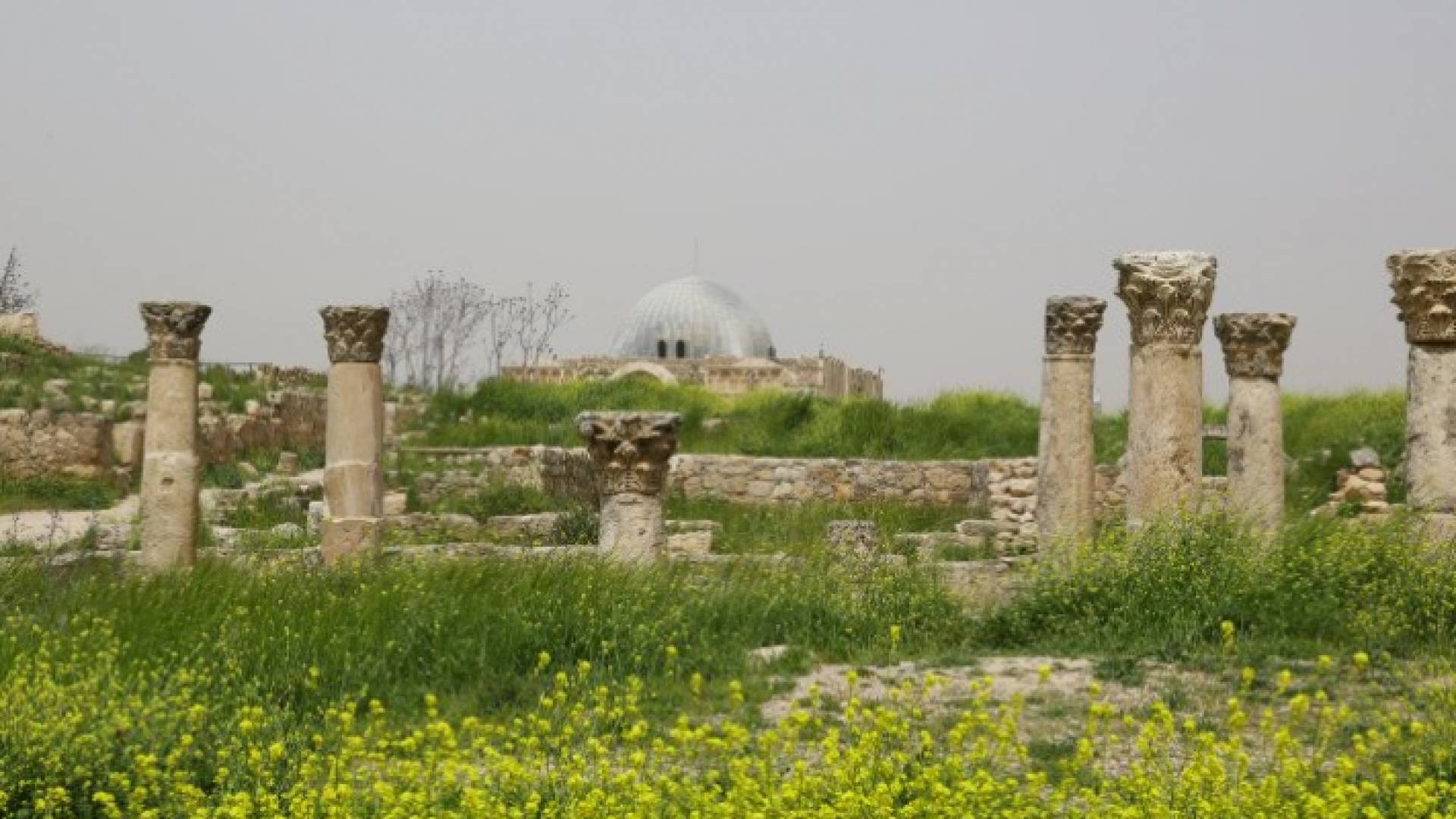 انخفاض طفيف على درجات الحرارة ورياح نشطة تثير الغبار في بعض المناطق