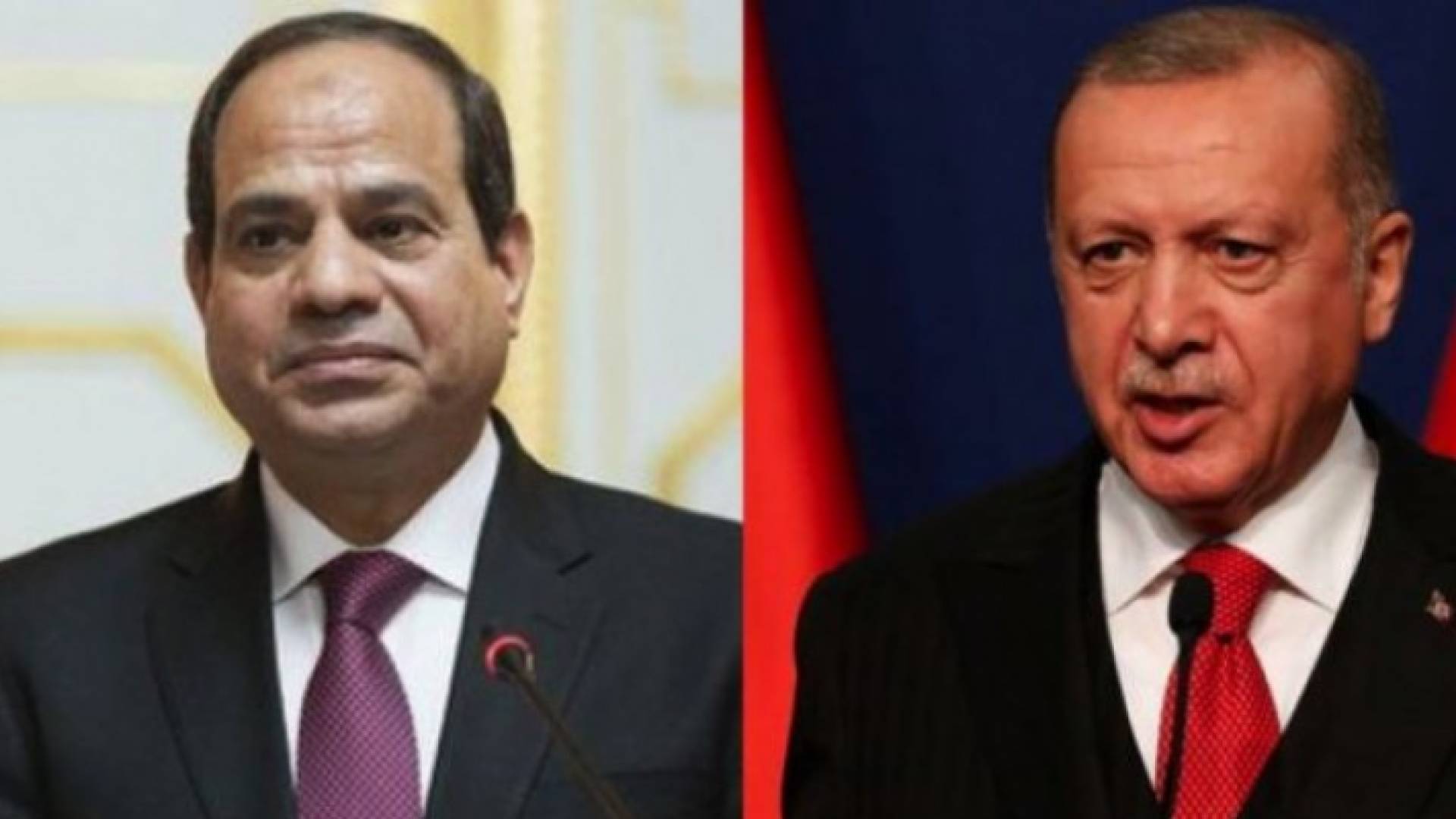 أردوغان والسيسي
