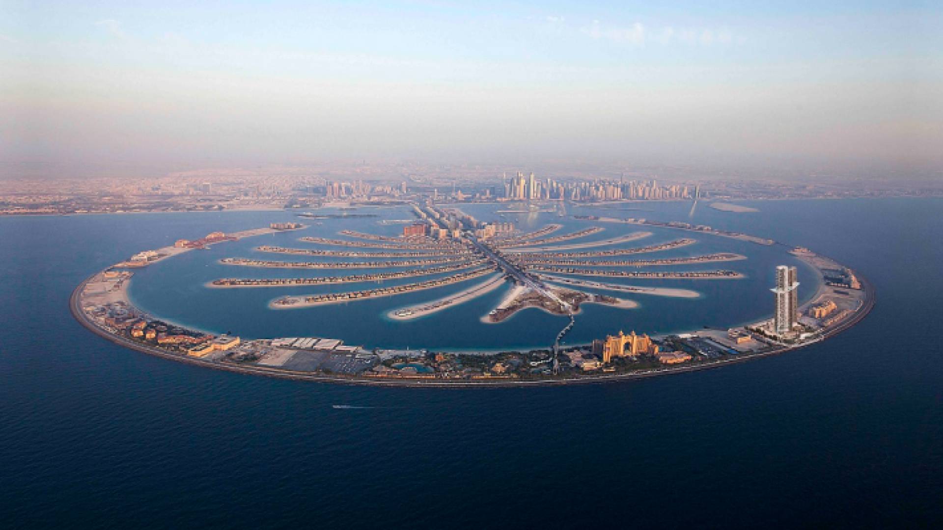 نخلة الجميرا في دبي