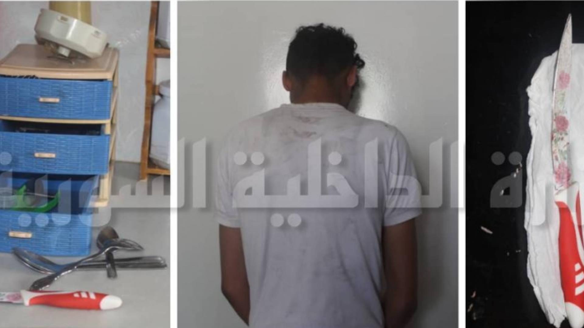 الجاني وأداة الجريمة