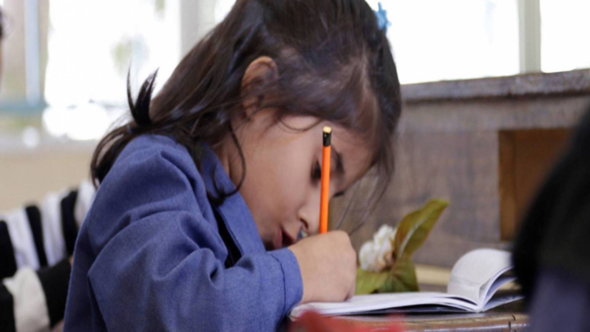 طالبة في إحدى المدارس الحكومية - ارشيفية