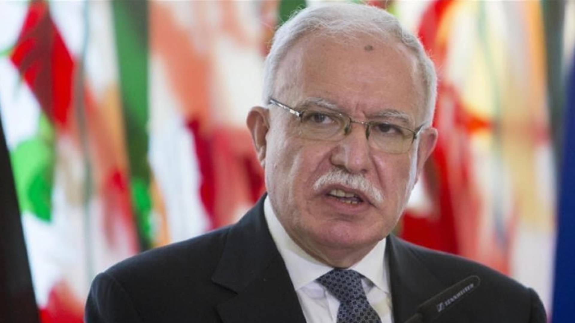 وزير الخارجية وشؤون المغتربين الفلسطيني رياض المالكي - ارشيفية