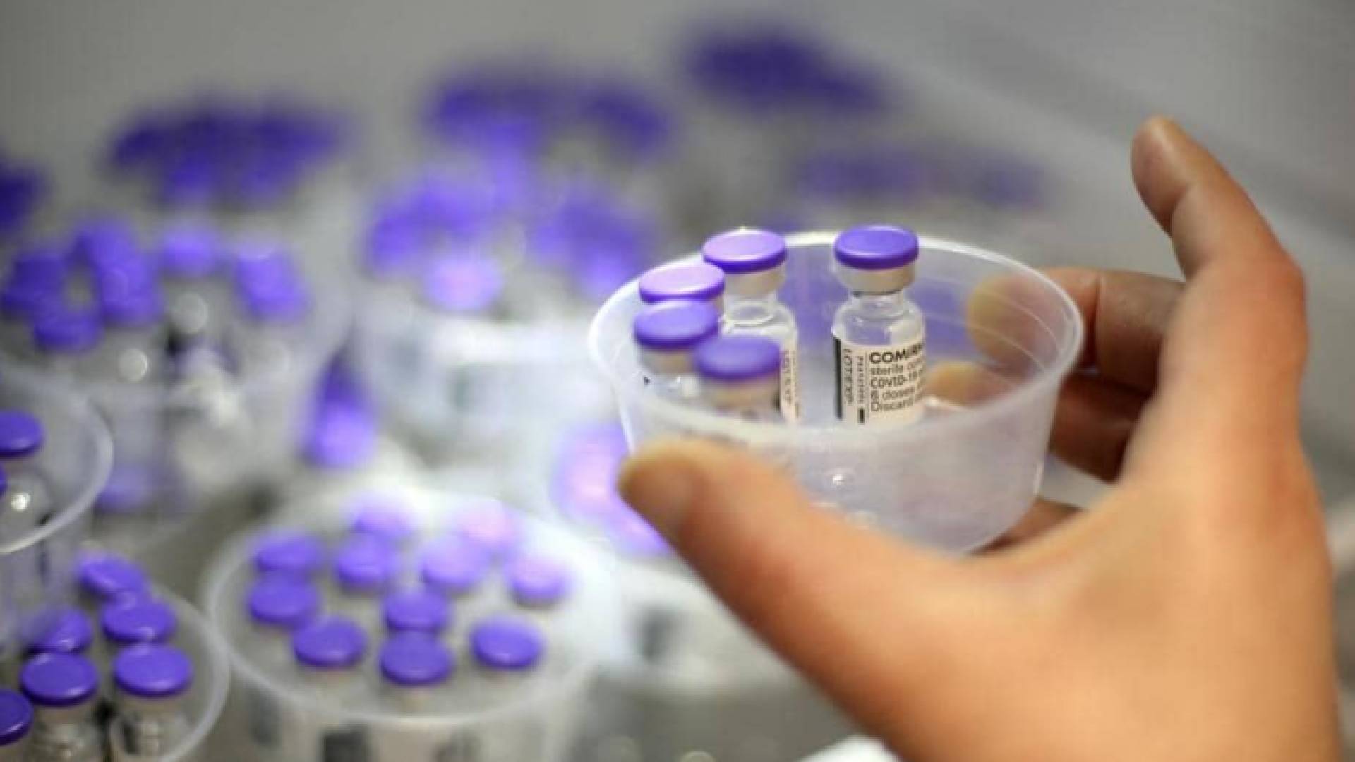 الوكالة قامت بمراجعة بياناتها