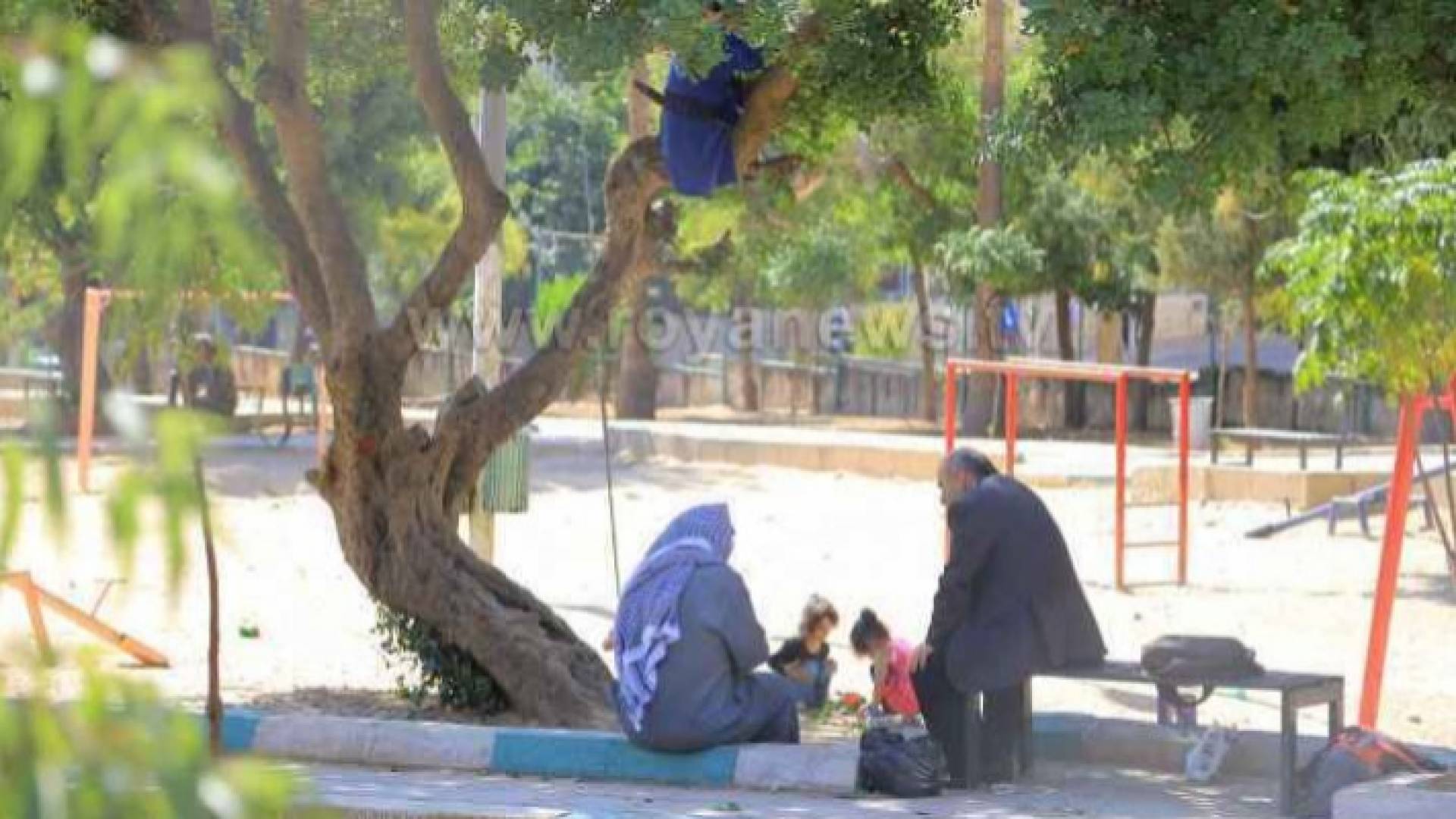 الصورة ارشيفية