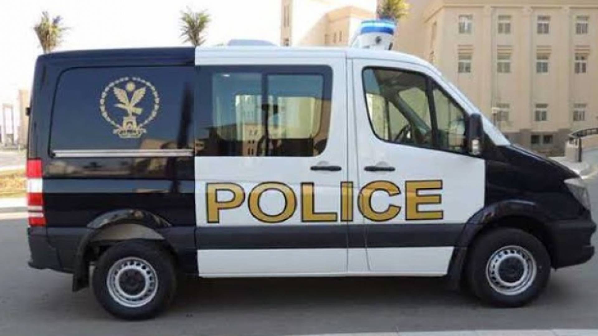 الشرطة المصرية