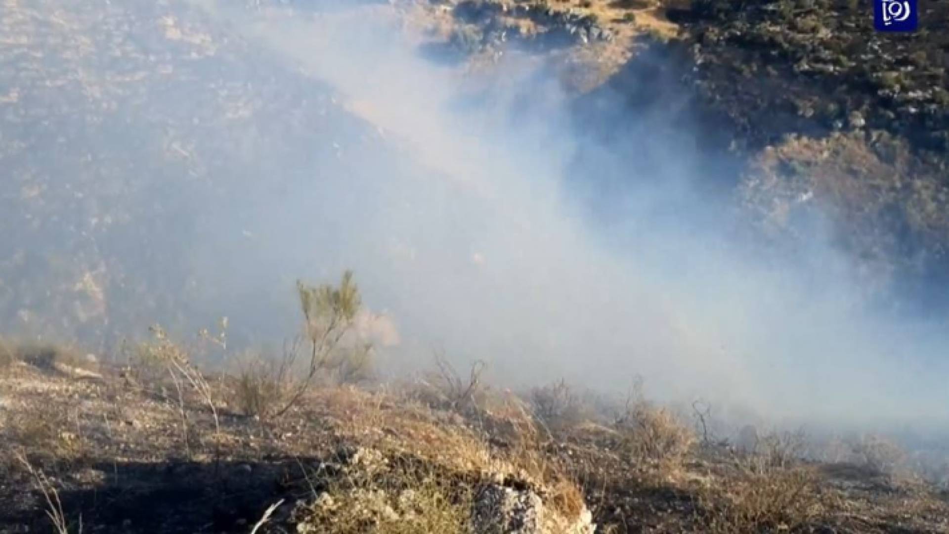 حريق أرض زراعية وأحراش بلواء الكورة في اربد