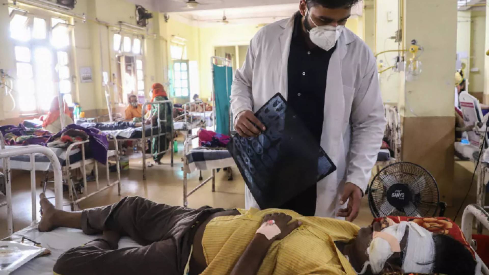 مرض الفطر الأسود