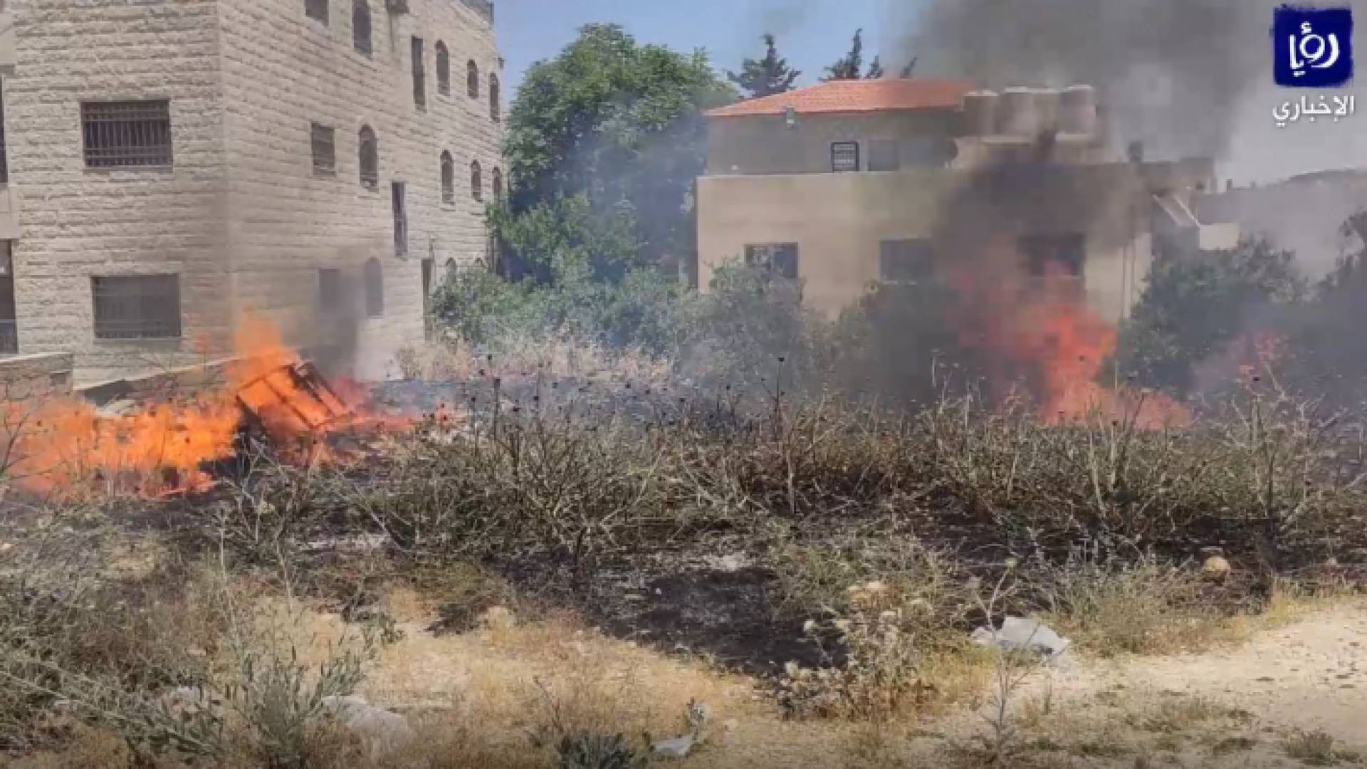 اخماد حريق عدد من أشجار المشمش والزيتون بضاحية الياسمين بعمان