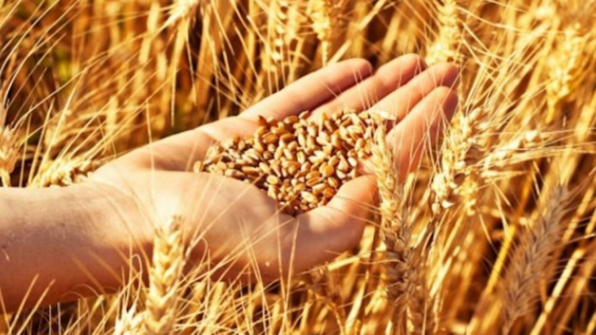 الصورة تعبيرية