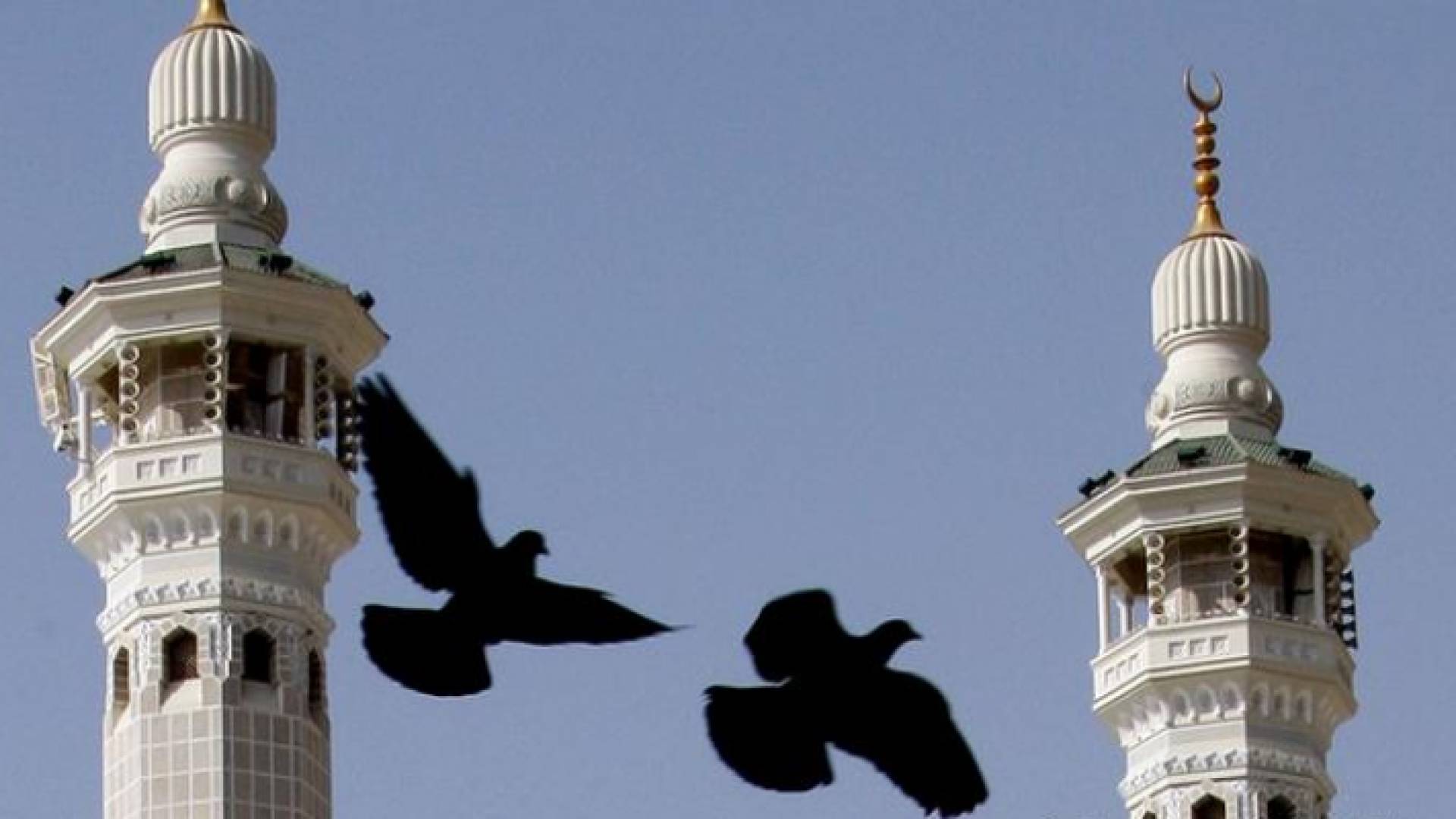 الصورة أرشيفية