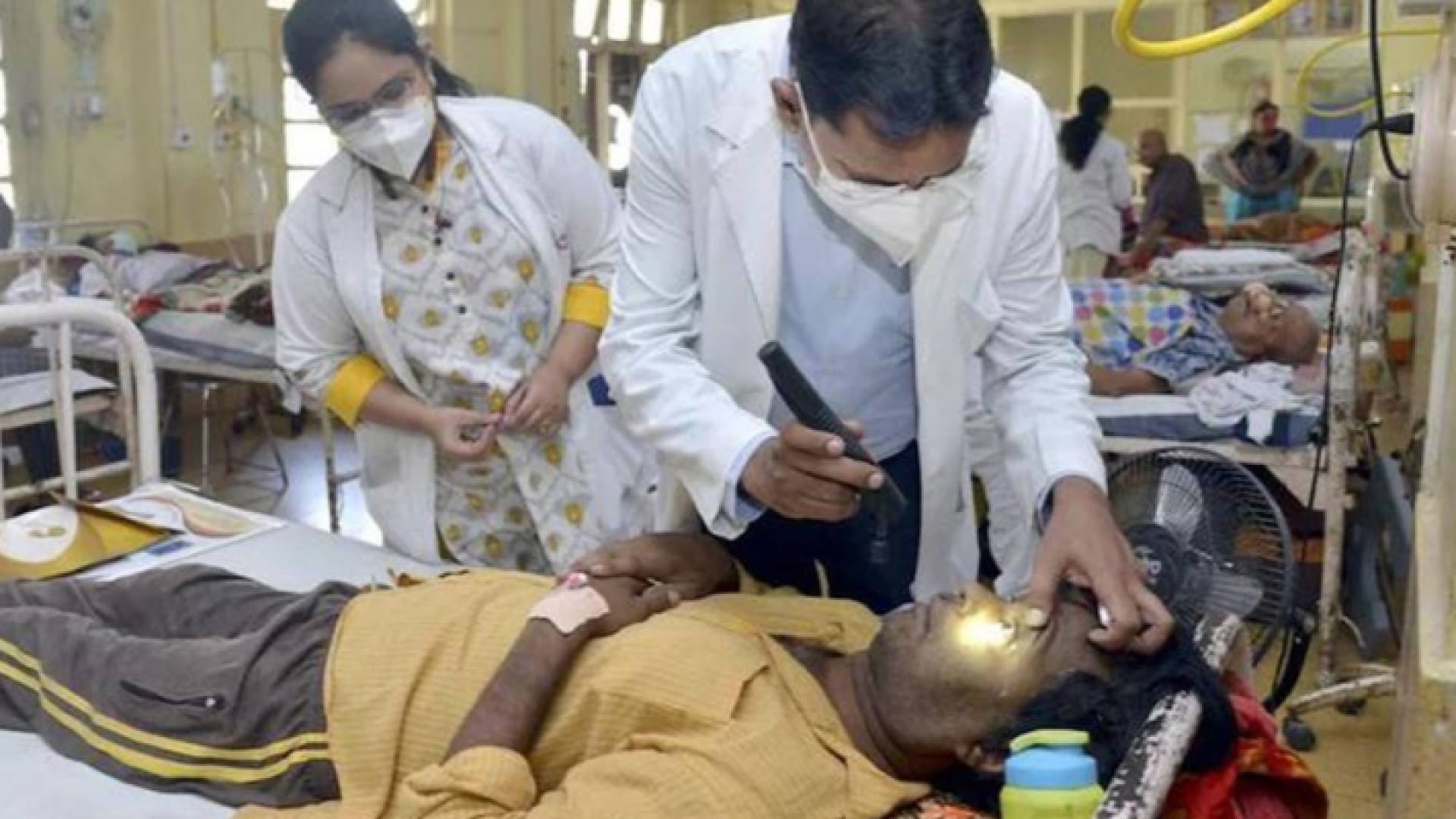 الفطر الأصفر مرض مميت، يصيب أصحاب المناعة الضعيفة فقط