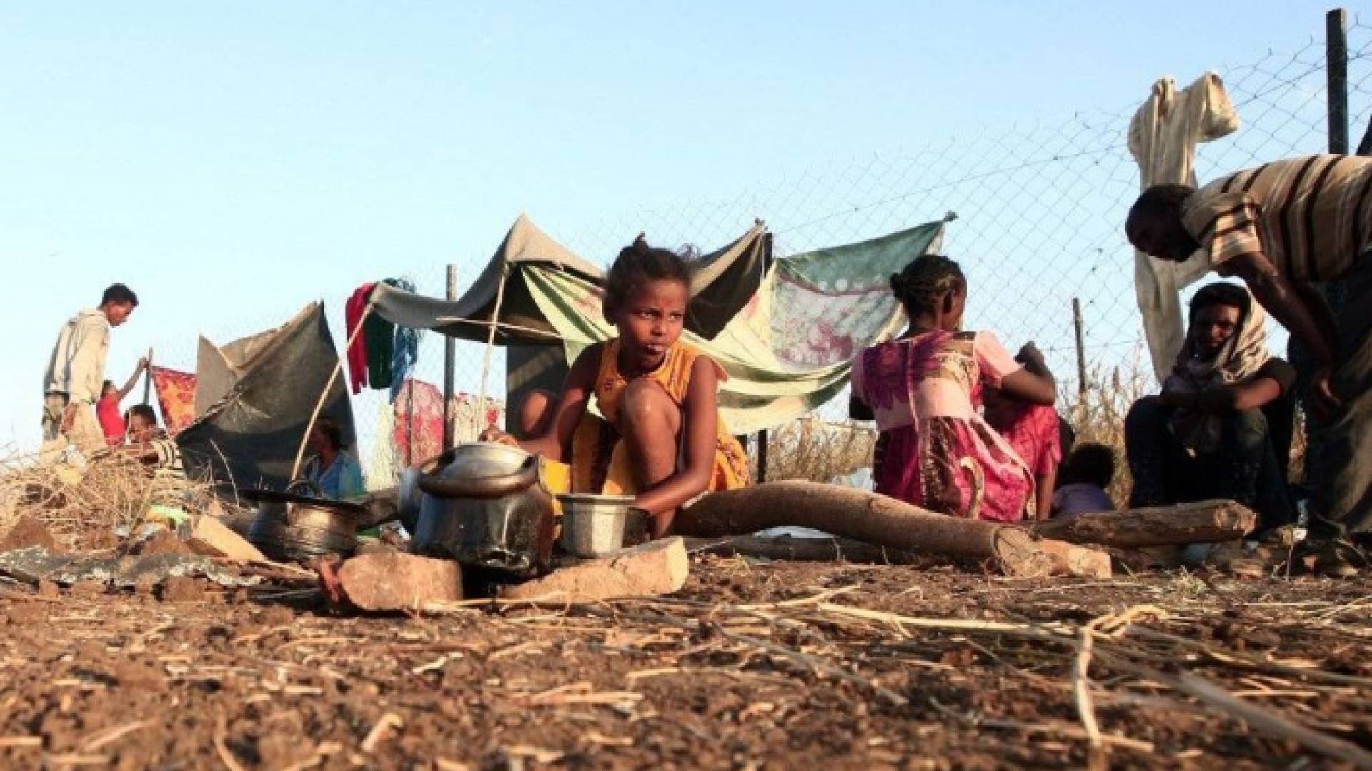 لا تزال المعارك وعمليات التهجير مستمرة في تيغراي