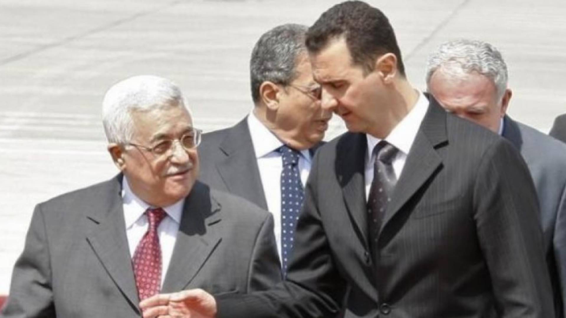 الأسد وعباس - أرشيفية