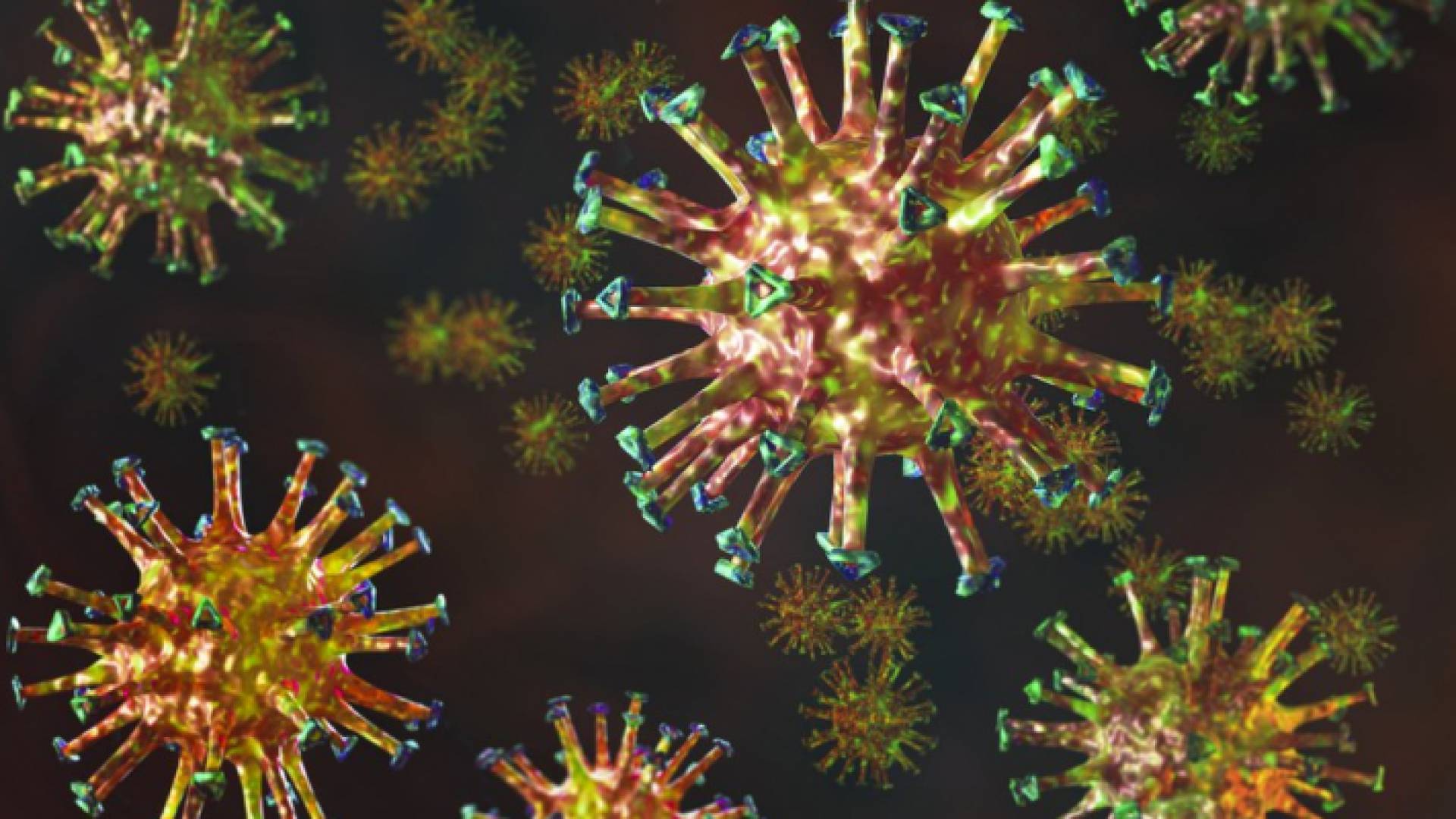 الصورة تعبيرية