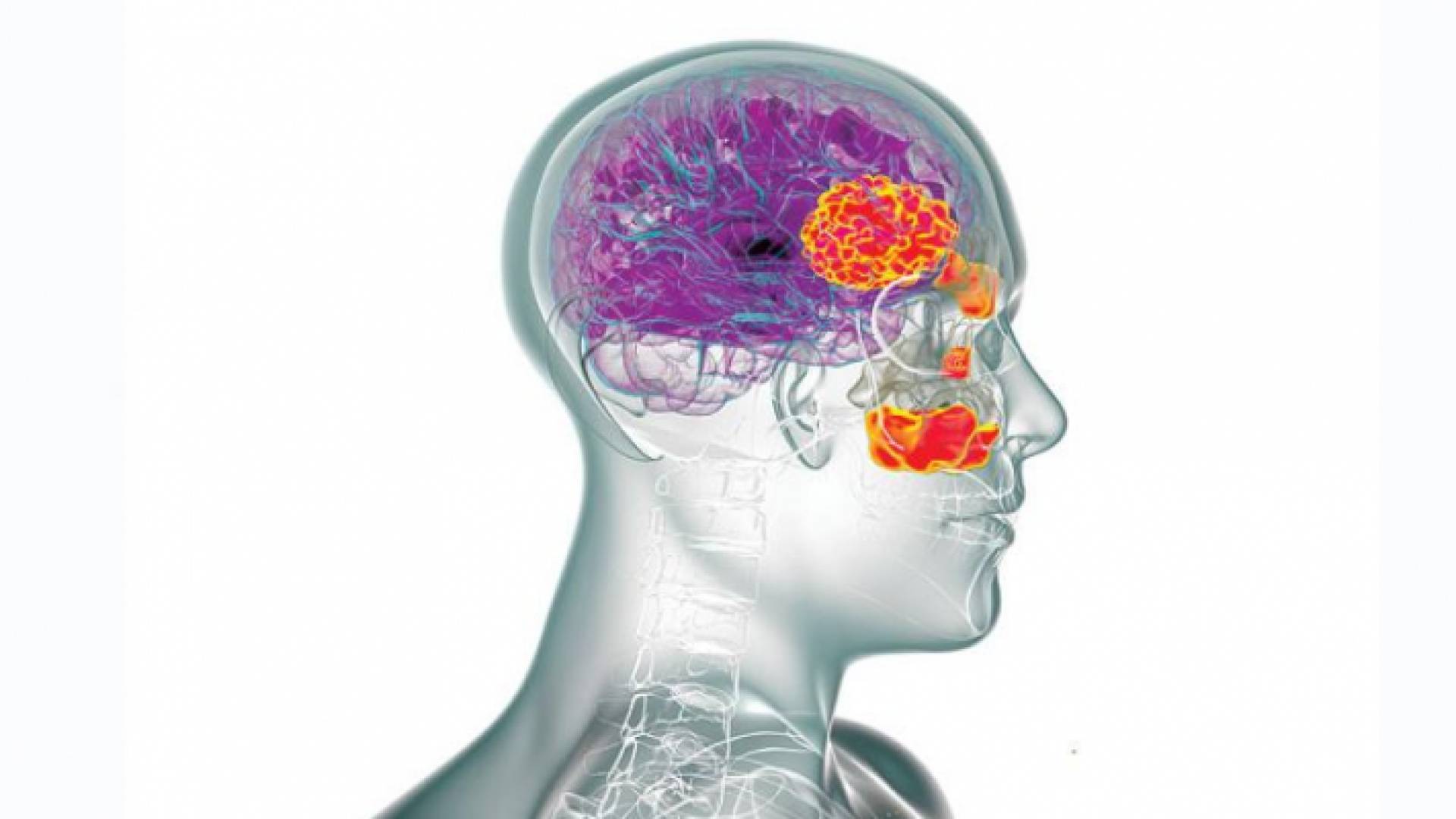 الصورة تعبيرية