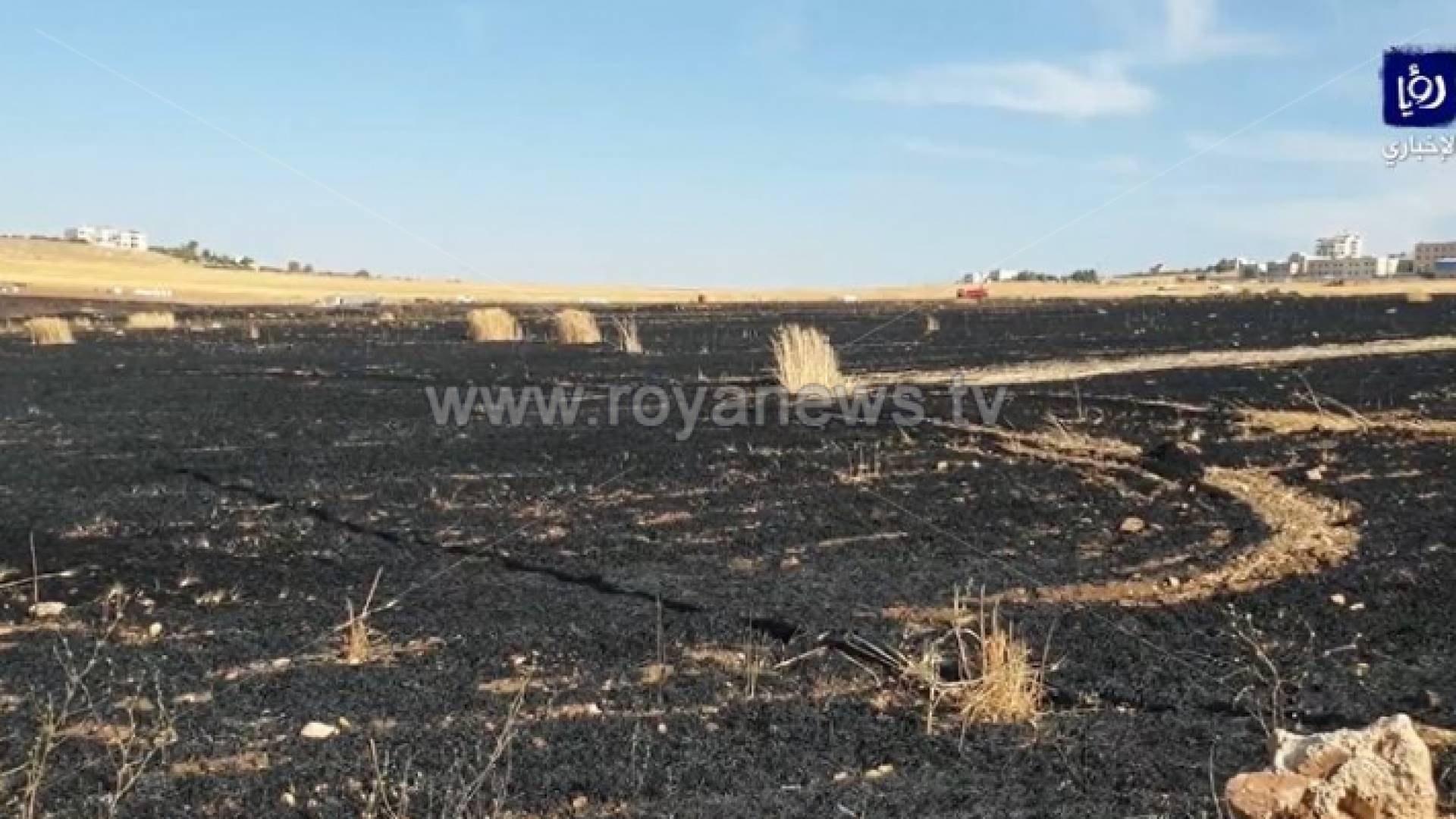 الصورة من الحريق